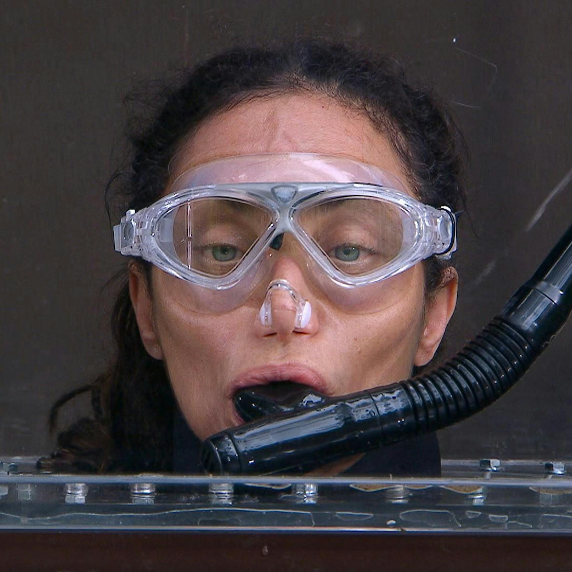 Image - Null Sterne, aber die Krone: Lilly Becker wird Dschungelkönigin bei „Ich bin ein Star“