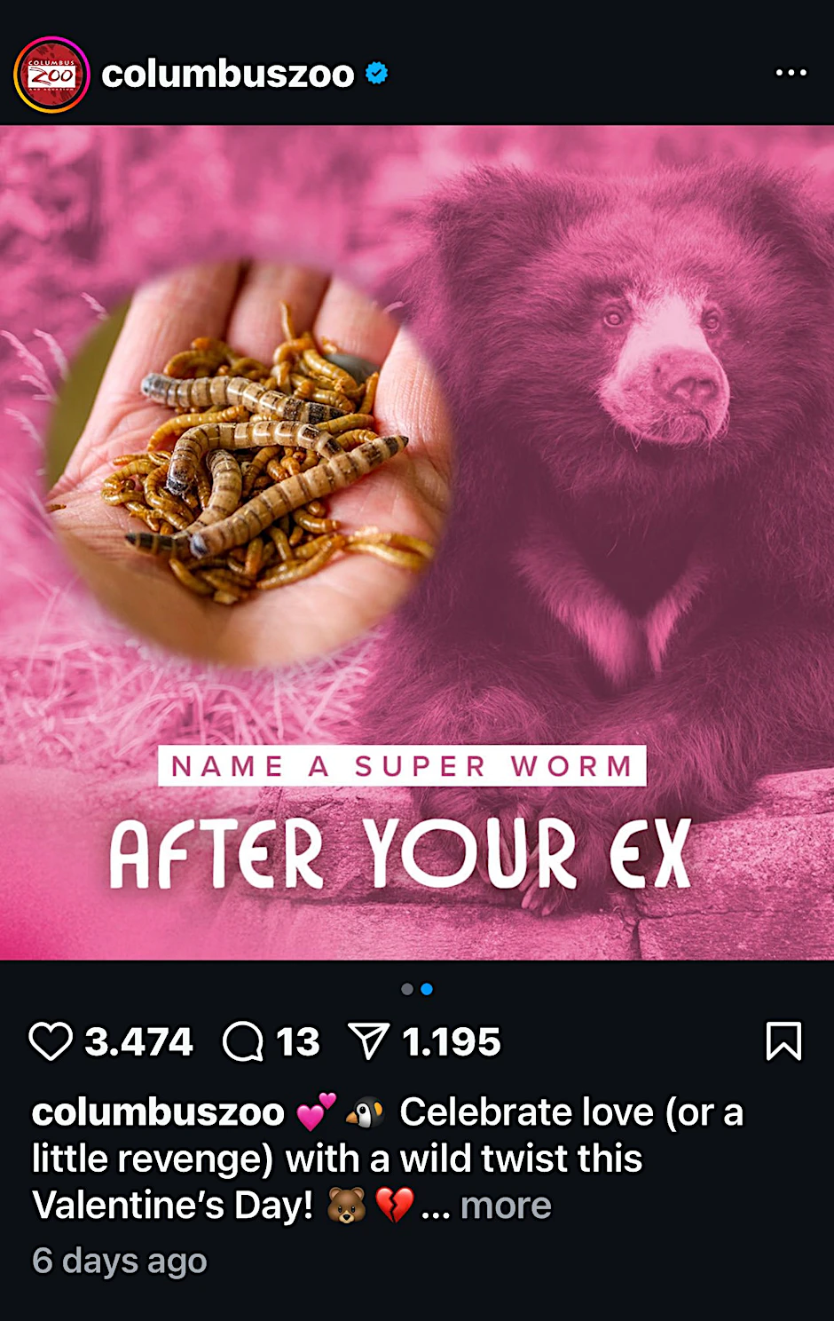 Für 15 Dollar kann jeder einen Wurm nach dem oder der Ex benennen und diesen vor der Kamera verfüttern lassen.