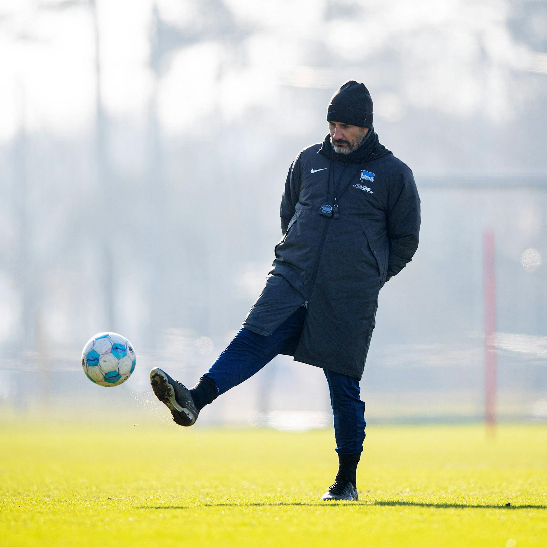 Krisen-Forschung: Unternehmensbewohner vermiesen Hertha BSC die Tour
