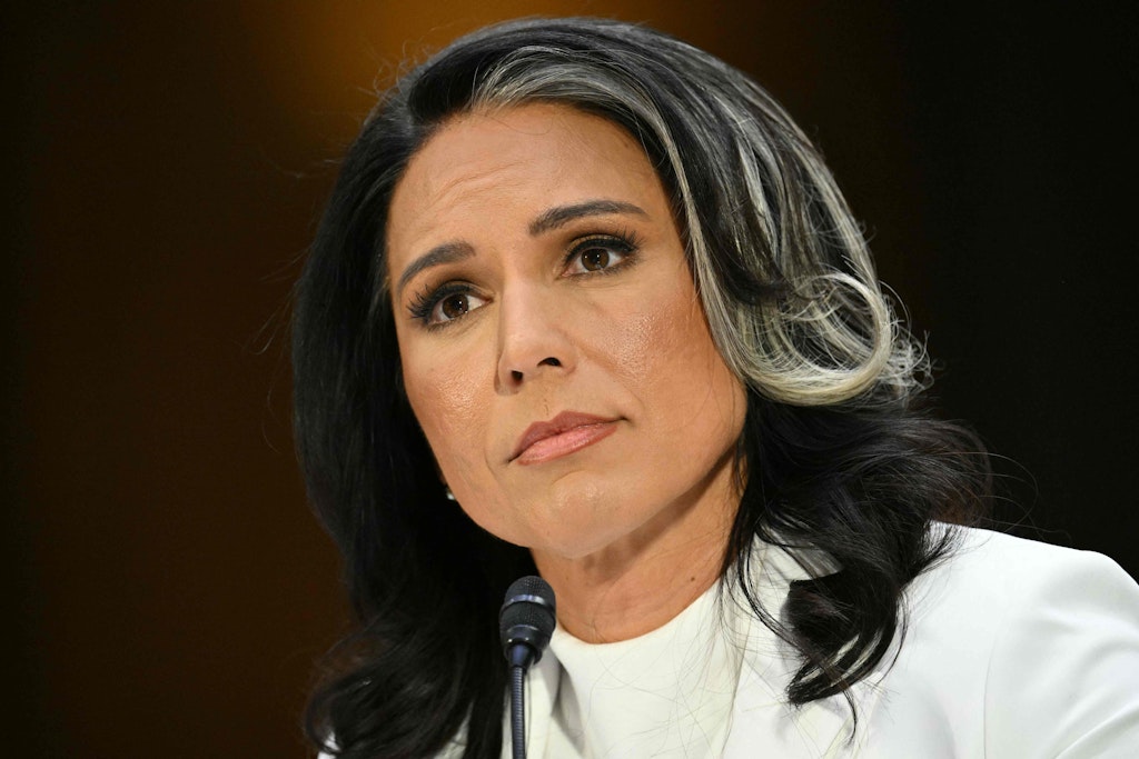 USA: Tulsi Gabbard vom US-Senat als Geheimdienstchefin bestätigt 