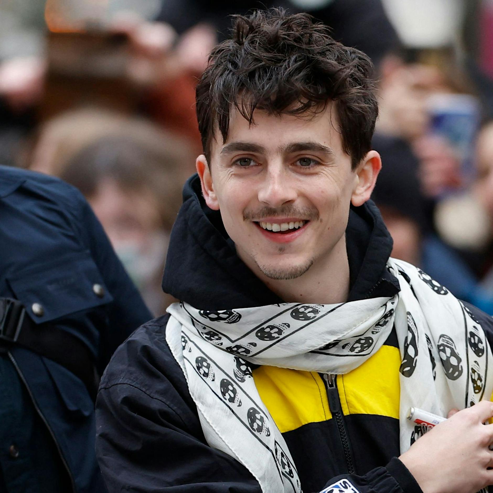 Berlinale-Star Timothée Chalamet: In Berlin ist er das fleißige Bienchen