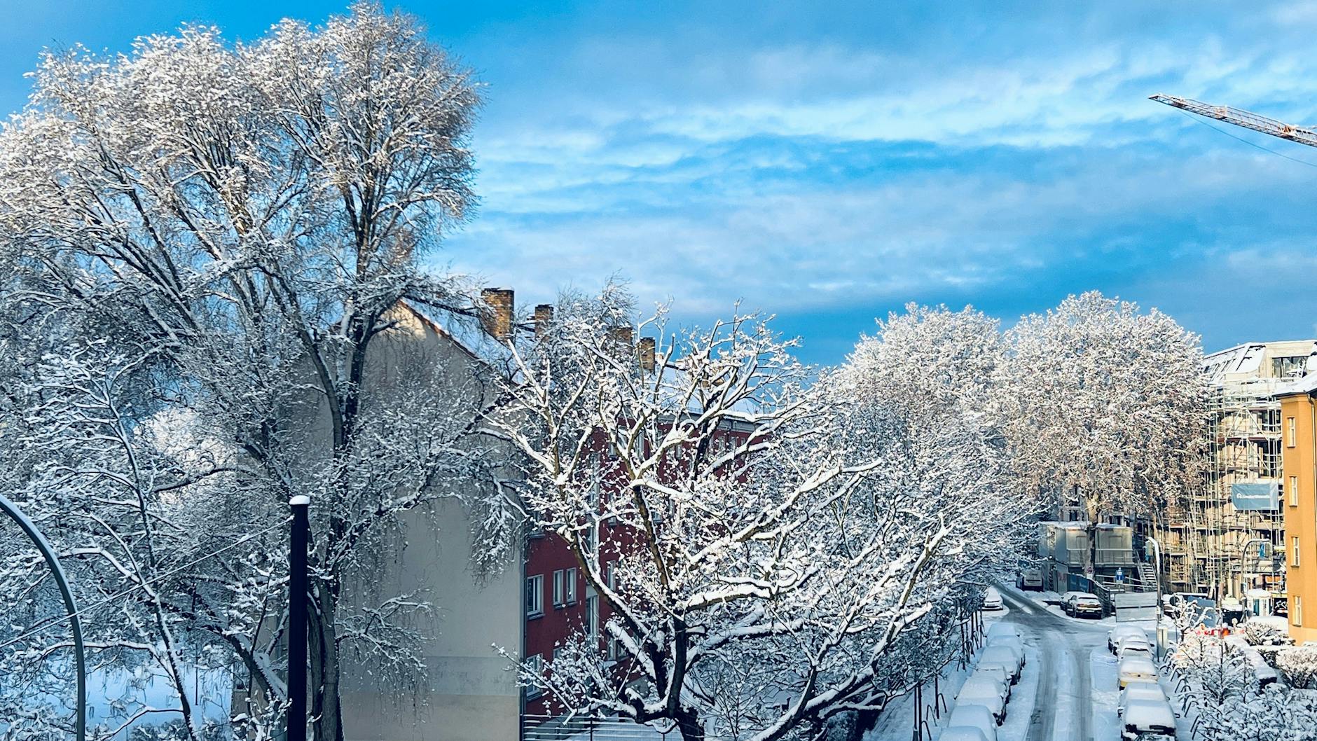 Berlin als Winterwunderland: Vor allem der Südosten konnte sich über reichliche Schnee freuen (oder ärgern).