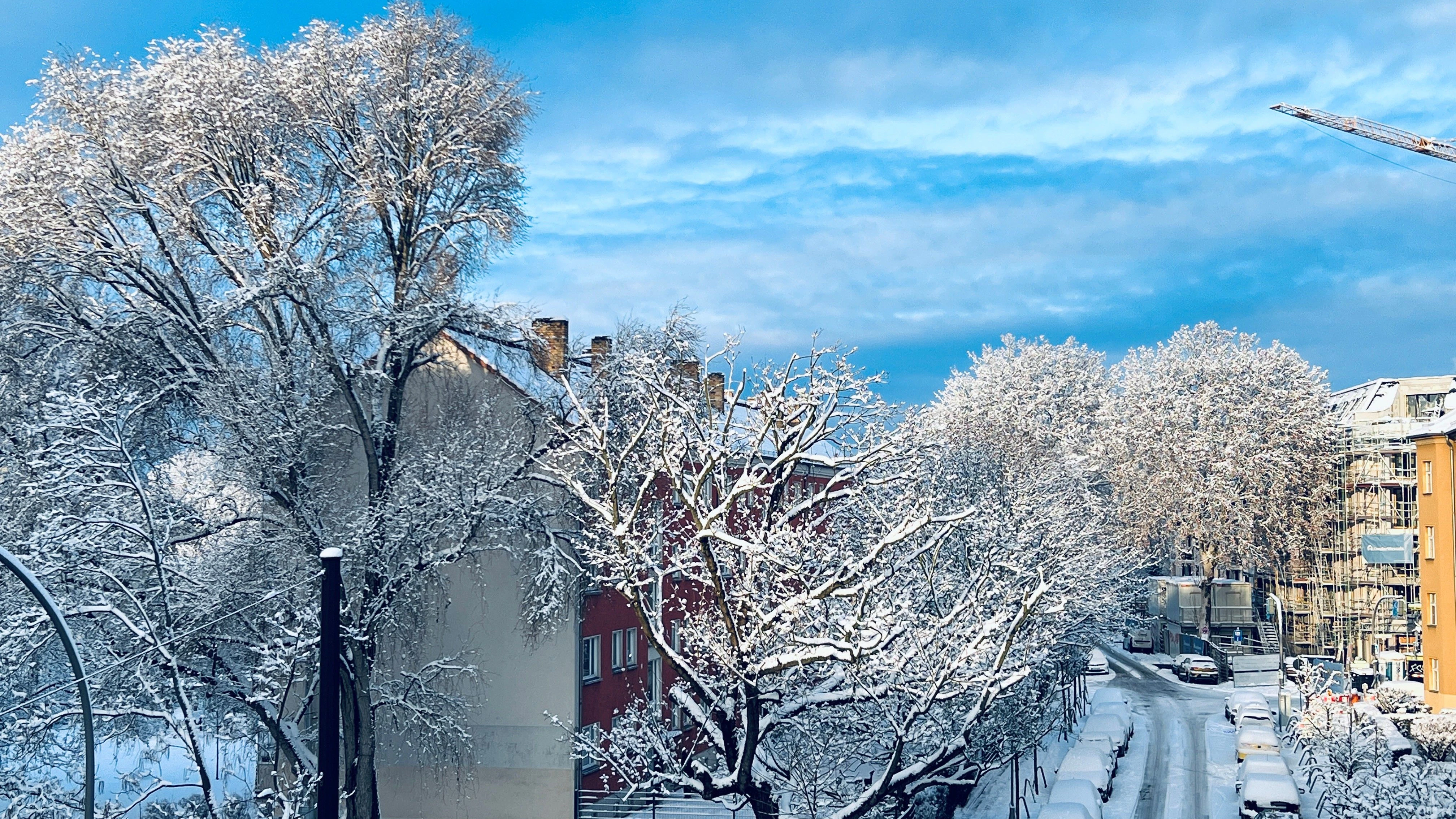 Berlin als Winterwunderland: Vor allem der Südosten konnte sich über reichliche Schnee freuen (oder ärgern).