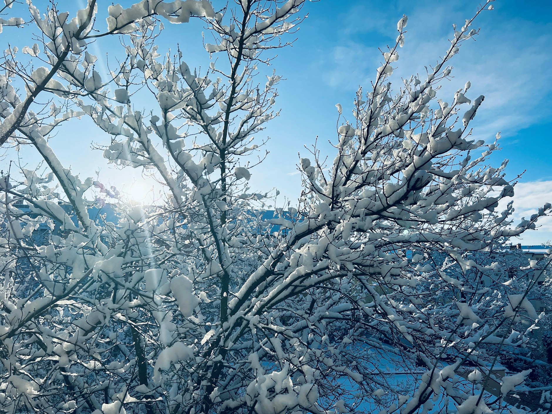 Der Schnee verwandelt Köpenick am Freitag in ein Winterwunderland.