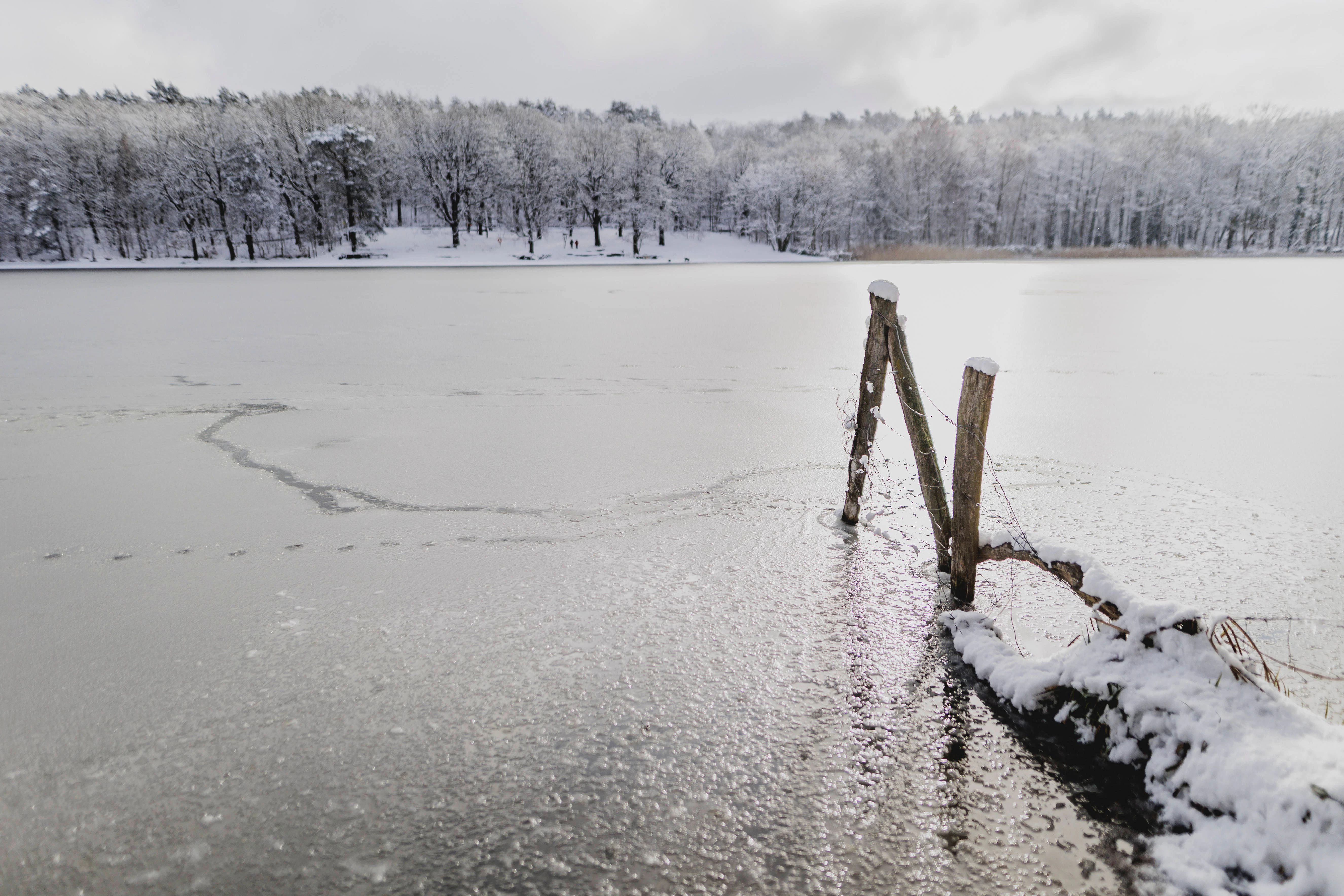 Der verschneiter Grunewaldsee in Berlin. (Archiv)