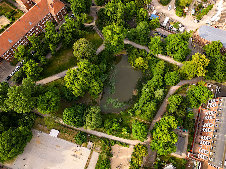Wegen Sanierungsarbeiten müssen vier Bäume im Pankower Werner-Klemke-Park gefällt werden.