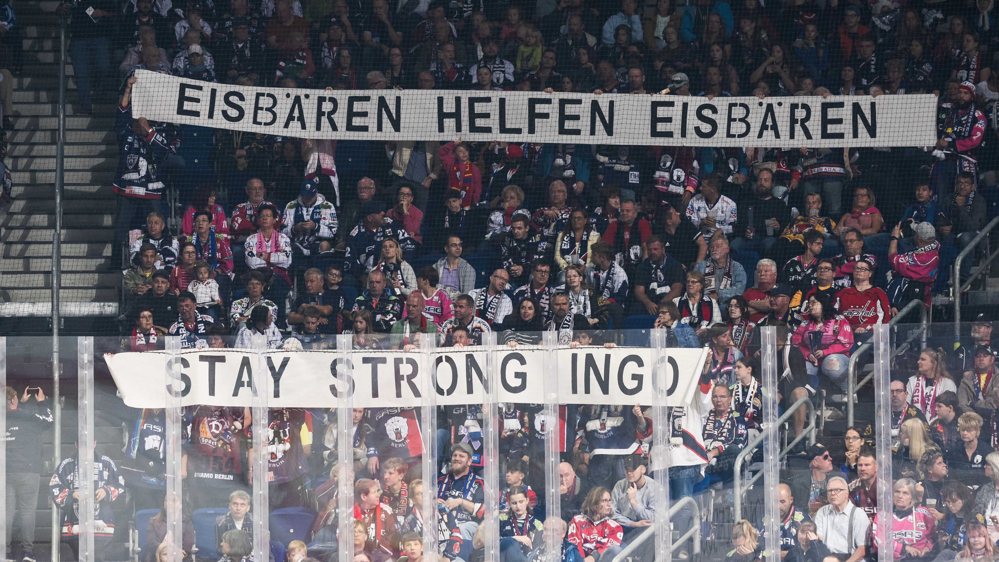 So machten Eisbären Helfen Eisbären im Oktober 2023 auf das Drama um Ingo aufmerksam.
