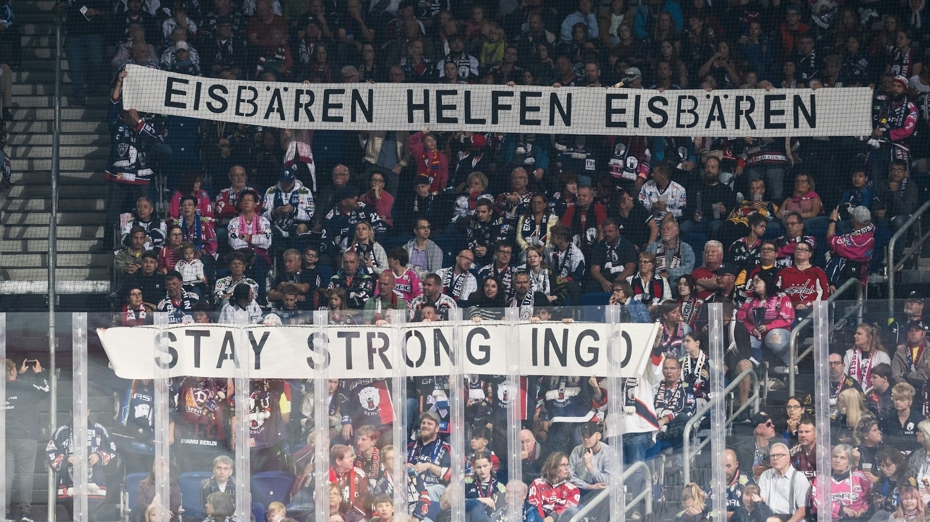 So machten Eisbären Helfen Eisbären im Oktober 2023 auf das Drama um Ingo aufmerksam.