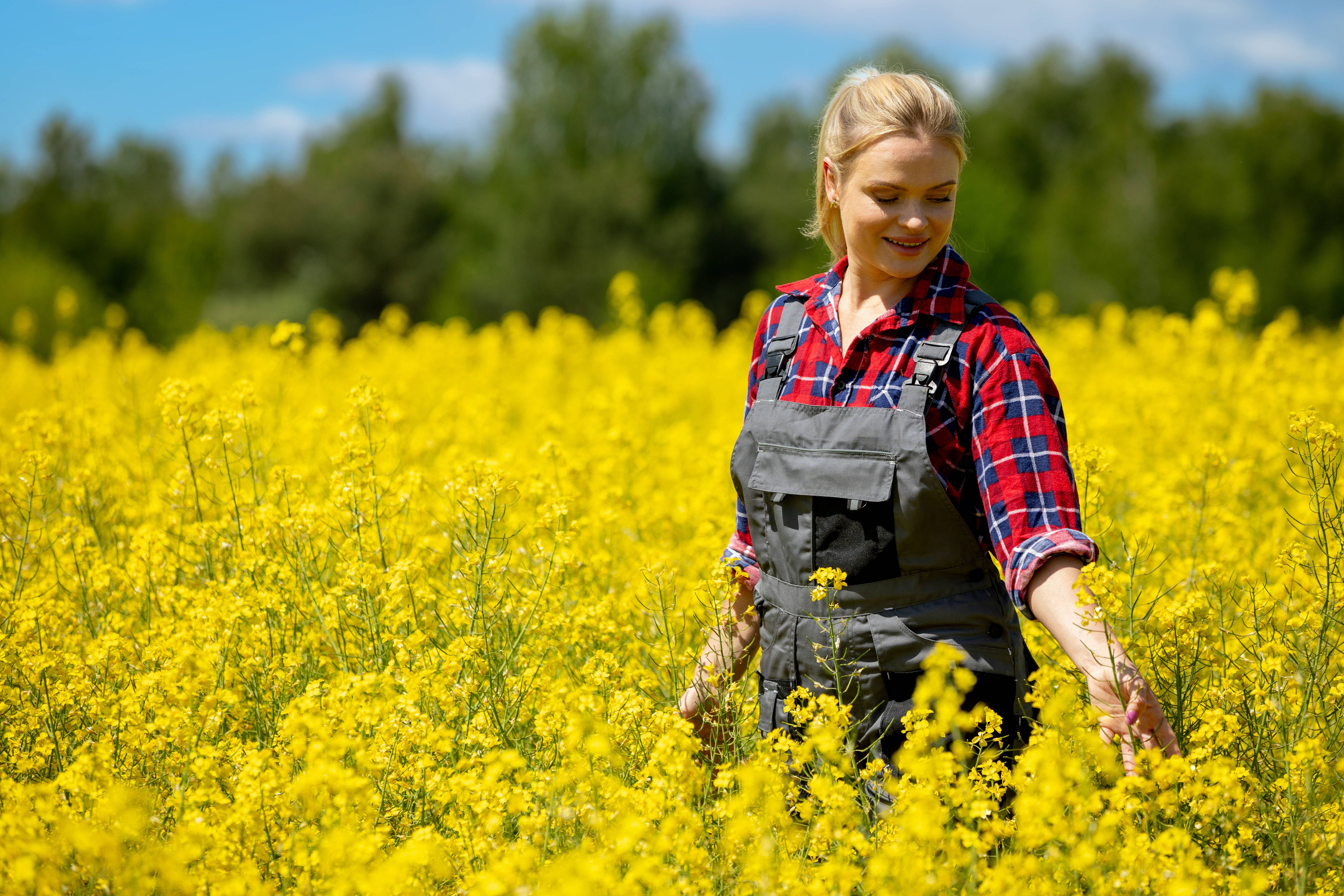 Großes Horoskop für die erste März-Woche – Sternzeichen Widder