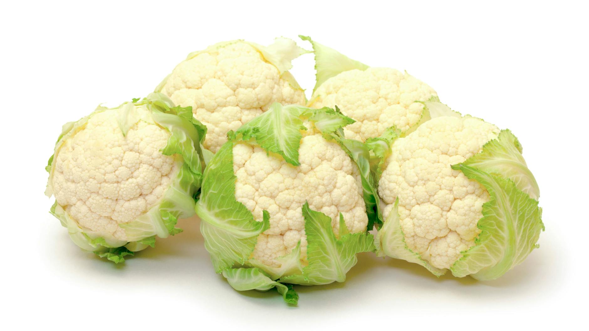 Frischen Blumenkohl erkennt man am jungen Grün der Blätter und einem saftigen Strunk,