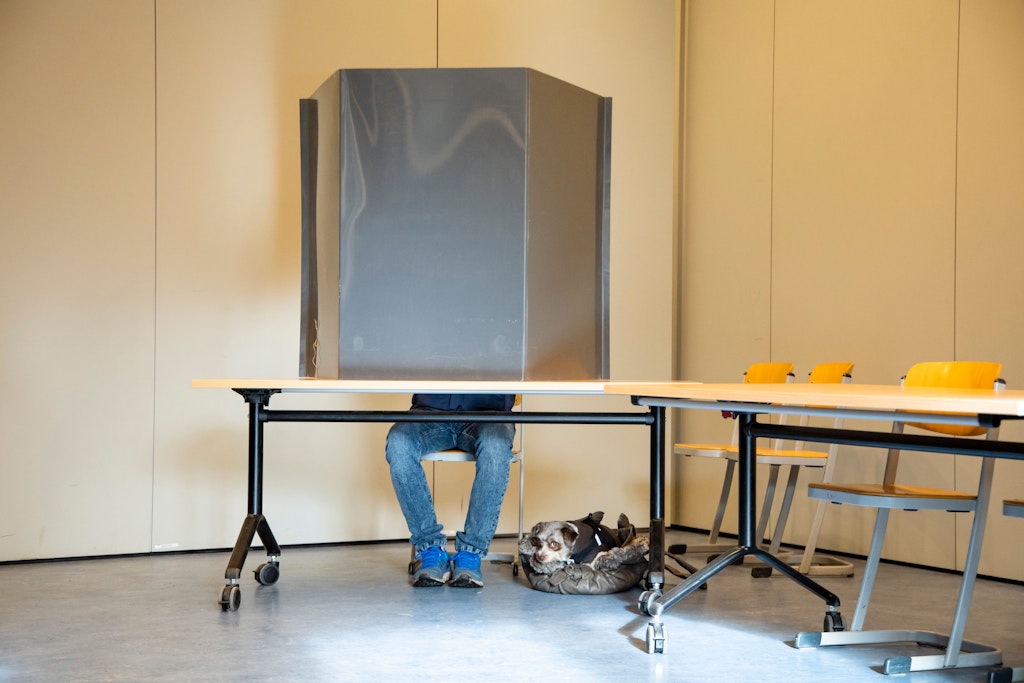 Wie wähle ich bei der Bundestagswahl? Die Verzweiflung vor der Neuwahl