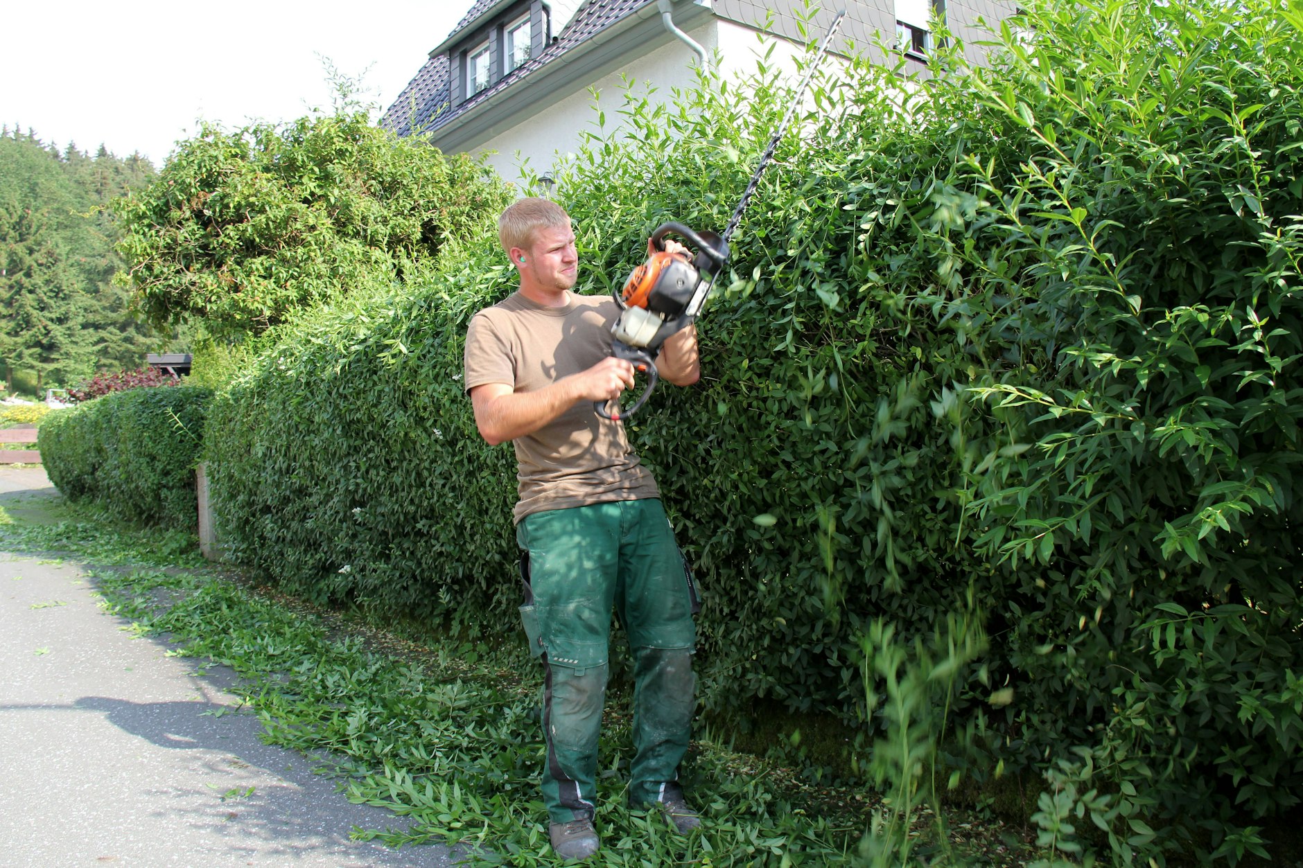 Mit der Motorsäge die Hecke stark zurückschneiden ist von 1. März bis 30. September nicht erlaubt. Nur der sanfte Pflegeschnitt geht.