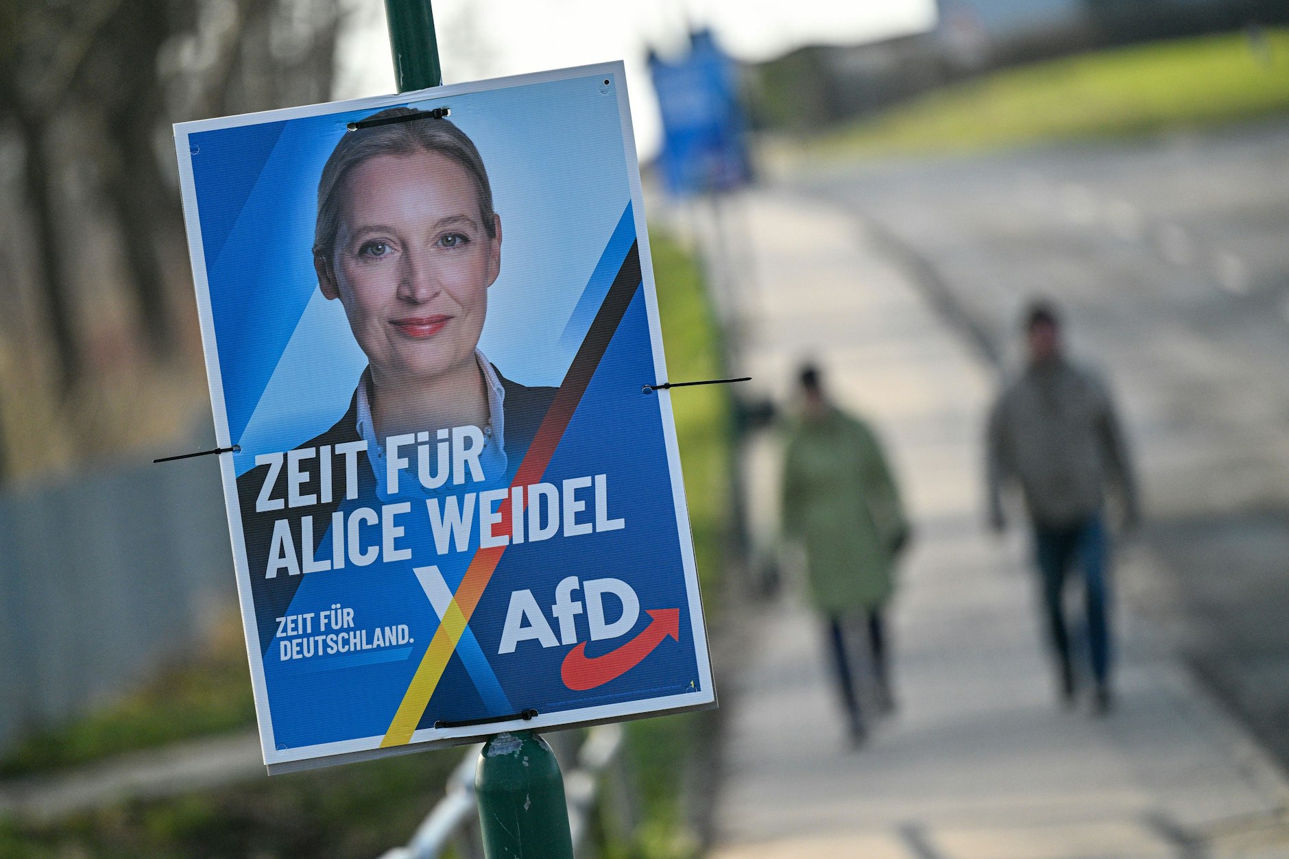 Eines der vielen AfD-Wahlplakate in Mecklenburg-Vorpommern: Alice Weidcel konnte vor allem im Osten Deutschlands punkten.
