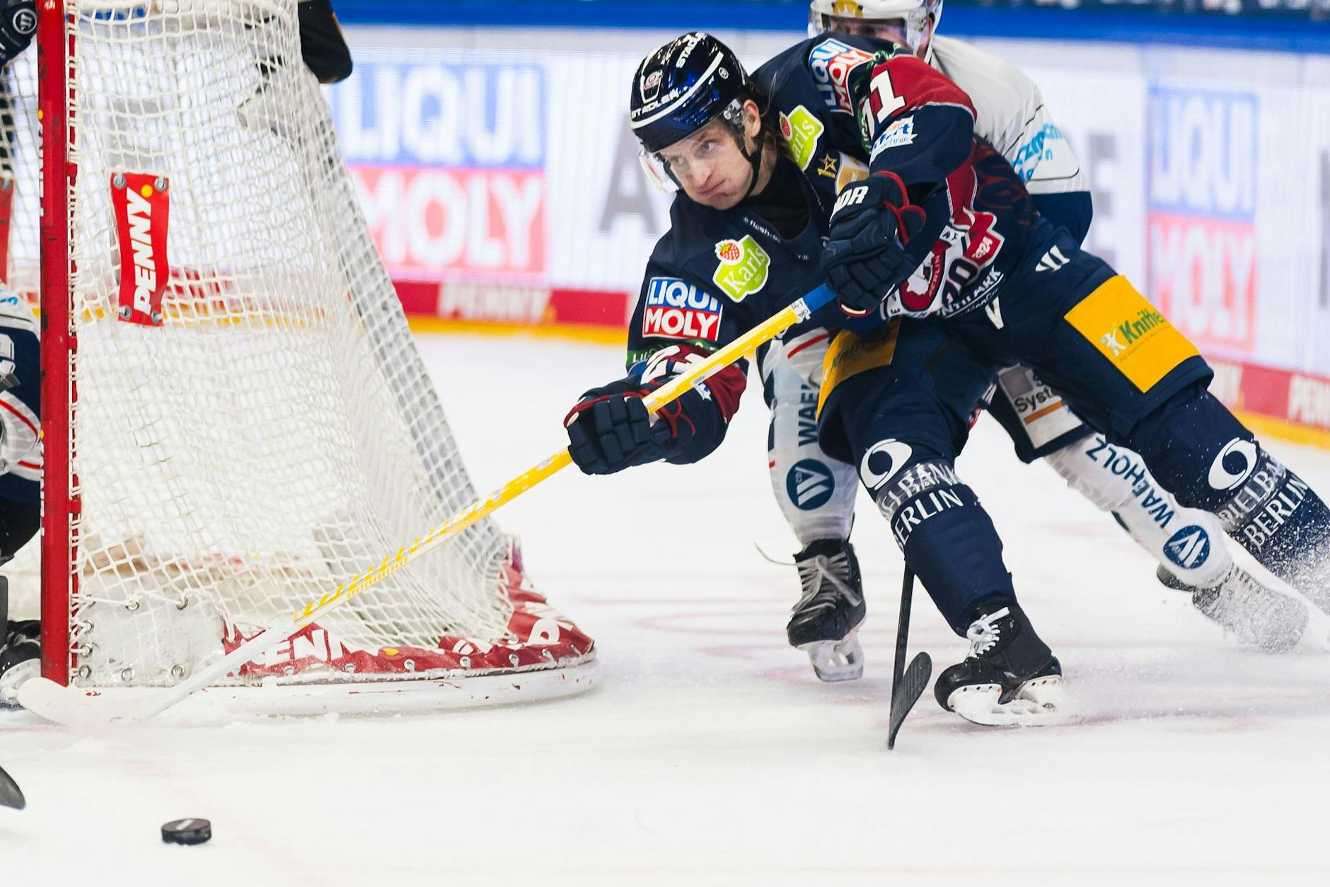 In Sachen Einsatz und Kampf macht Eisbär Manuel Wiederer so schnell keiner was vor.