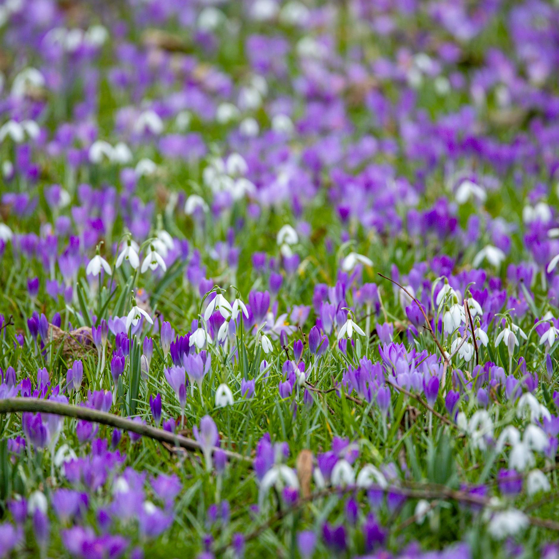 Den Verlockungen des Frühlings wird das Wetter nicht gerecht