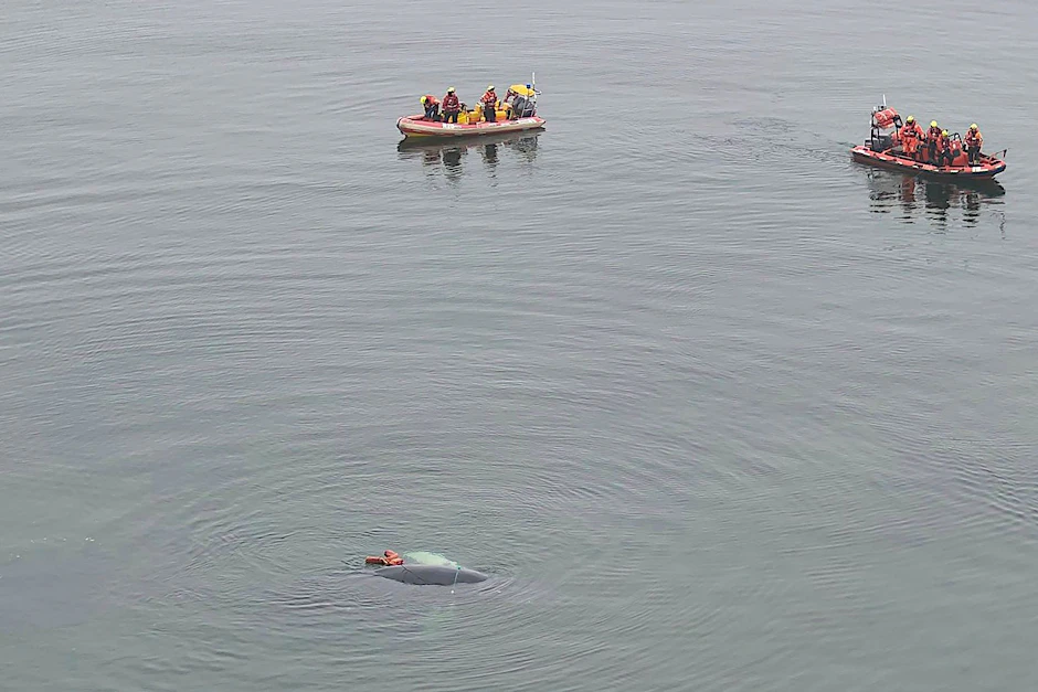 Seenotretter und Tierschützer in Schlauchbooten nähern sich am Ostseestrand einem Wal, um ihn von Fischernetzen zu befreien. 