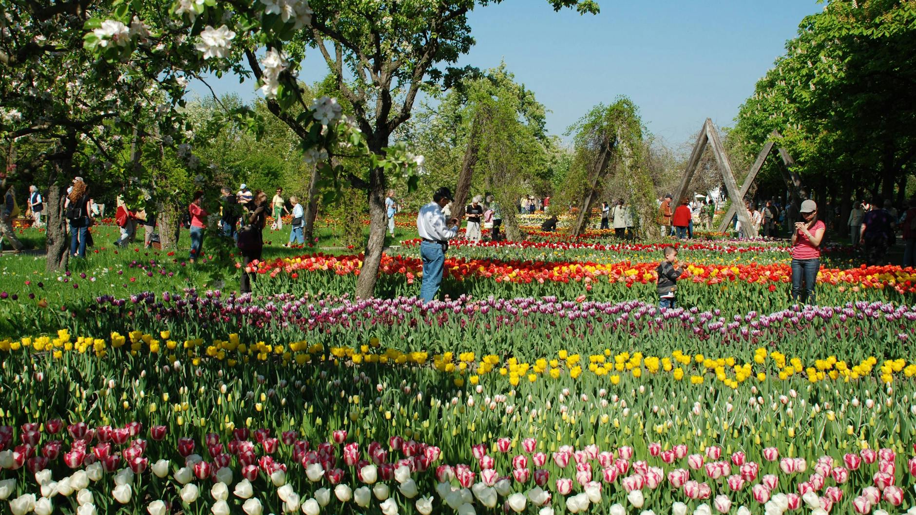 Der Britzer Garten mit seiner Blumenpracht: Auch hier wird der Eintritt teurer.