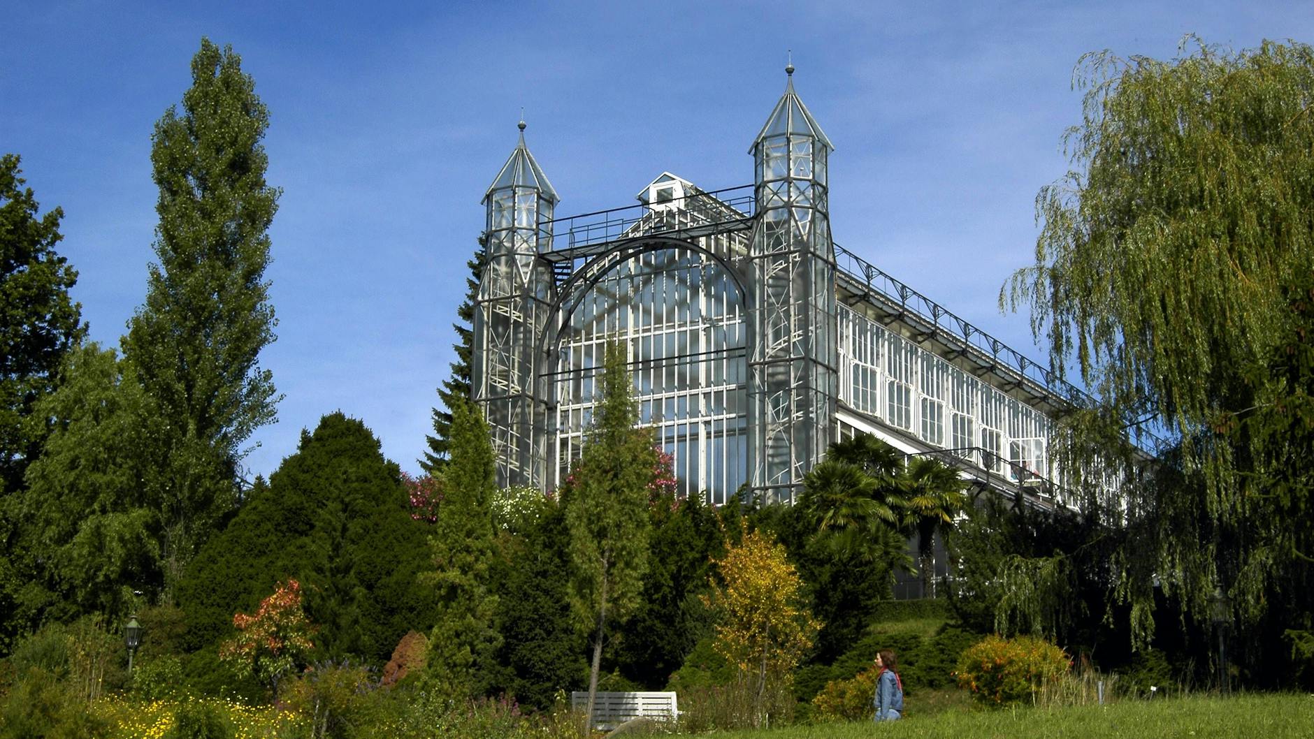 Das Mittelmeergewächshaus im Botanischen Garten muss dringend saniert werden. Doch der Senat strich die Gelder.