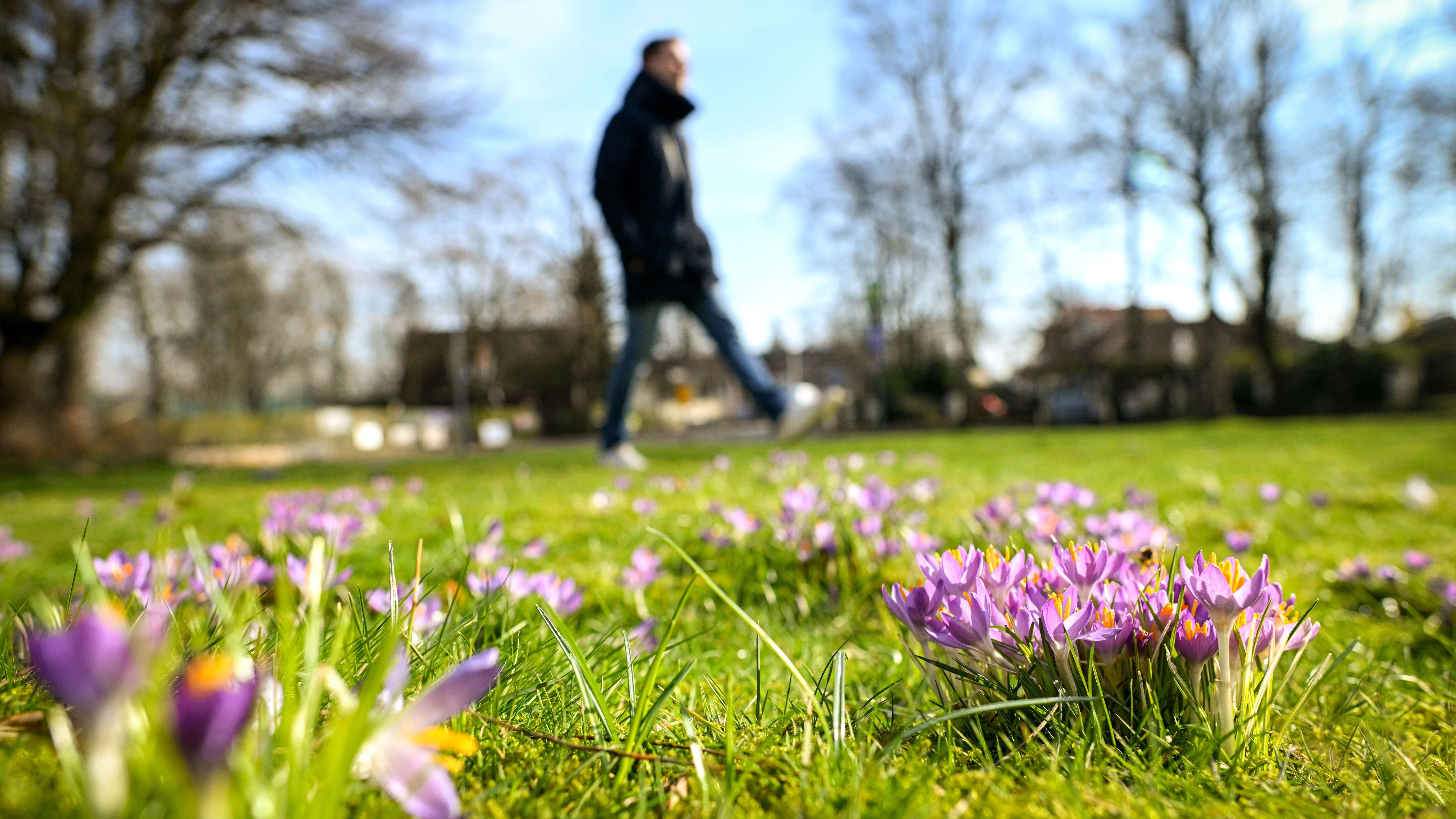 Der Frühling klopft an die Tür. Das Wetter der kommenden Tage wird mild und sonnig. 
