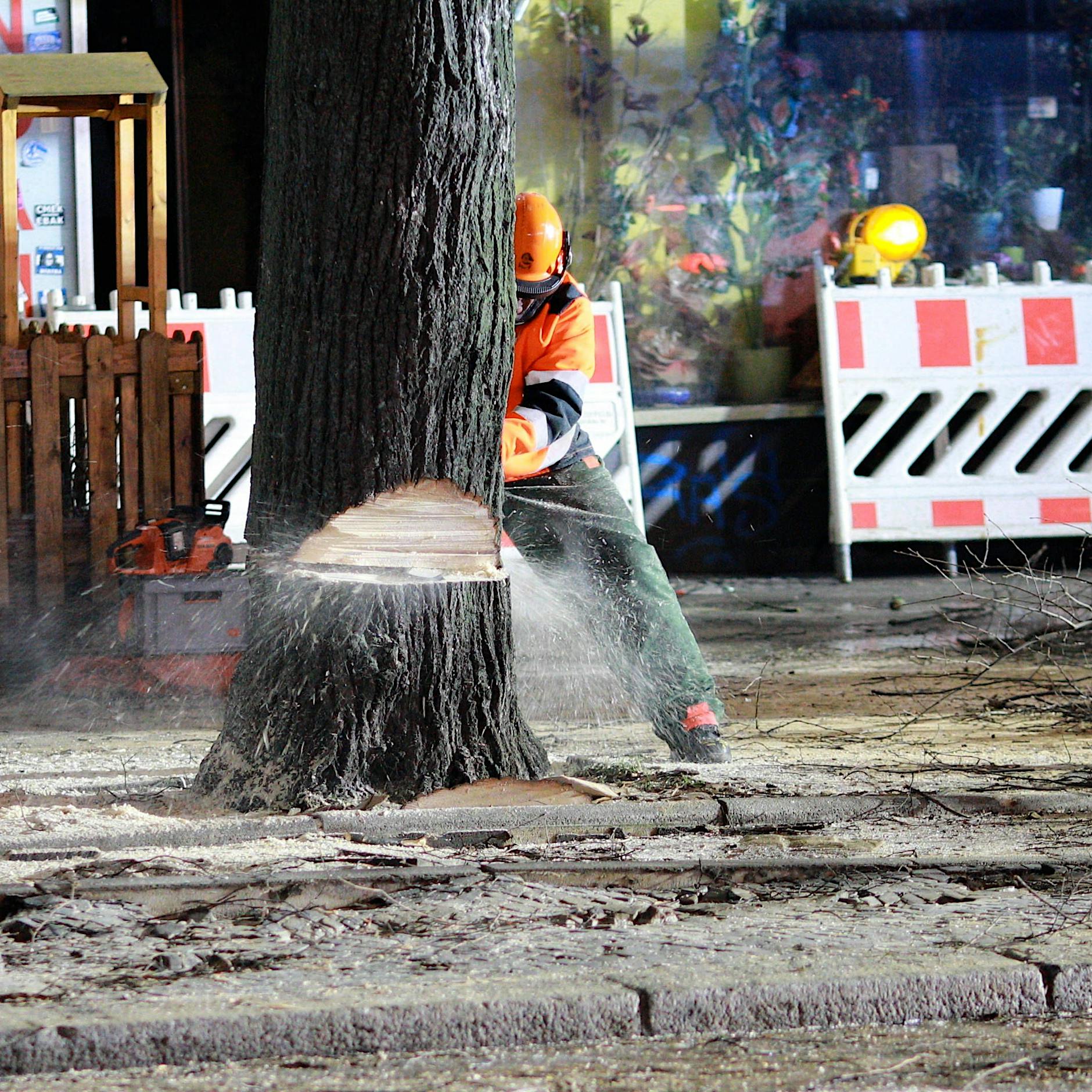 60 gesunde Bäume am Tempelhofer Damm werden gefällt: Demo angekündigt