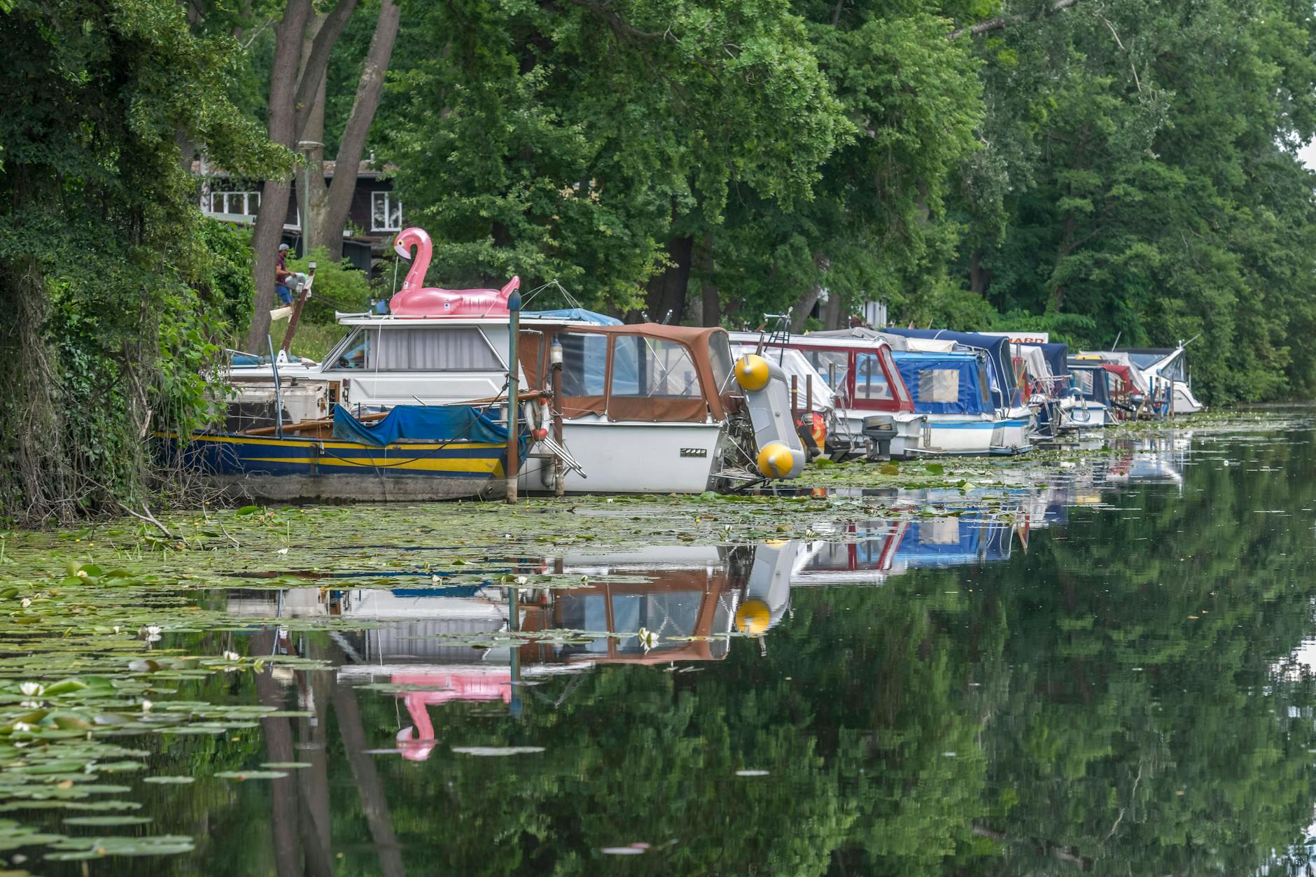 Eine neue Brücke soll den Alten Spandauer Schifffahrtskanal künftig überspannen.