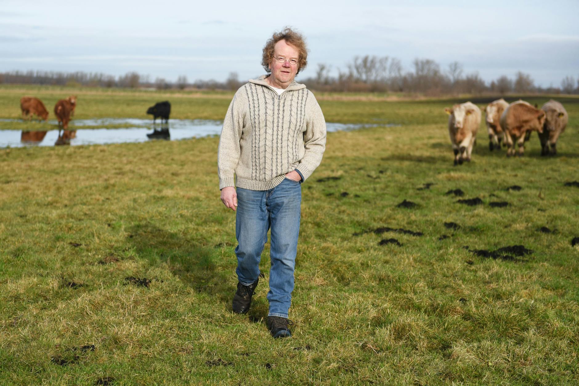Wasser, Wiese, Rinder: Andreas Bangert betreibt Landwirtschaft auf Moorflächen.