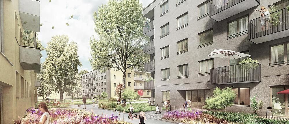 Wegen Schonfrist für Vögel: Flüchtlingsunterkunft in Pankow auf Eis gelegt