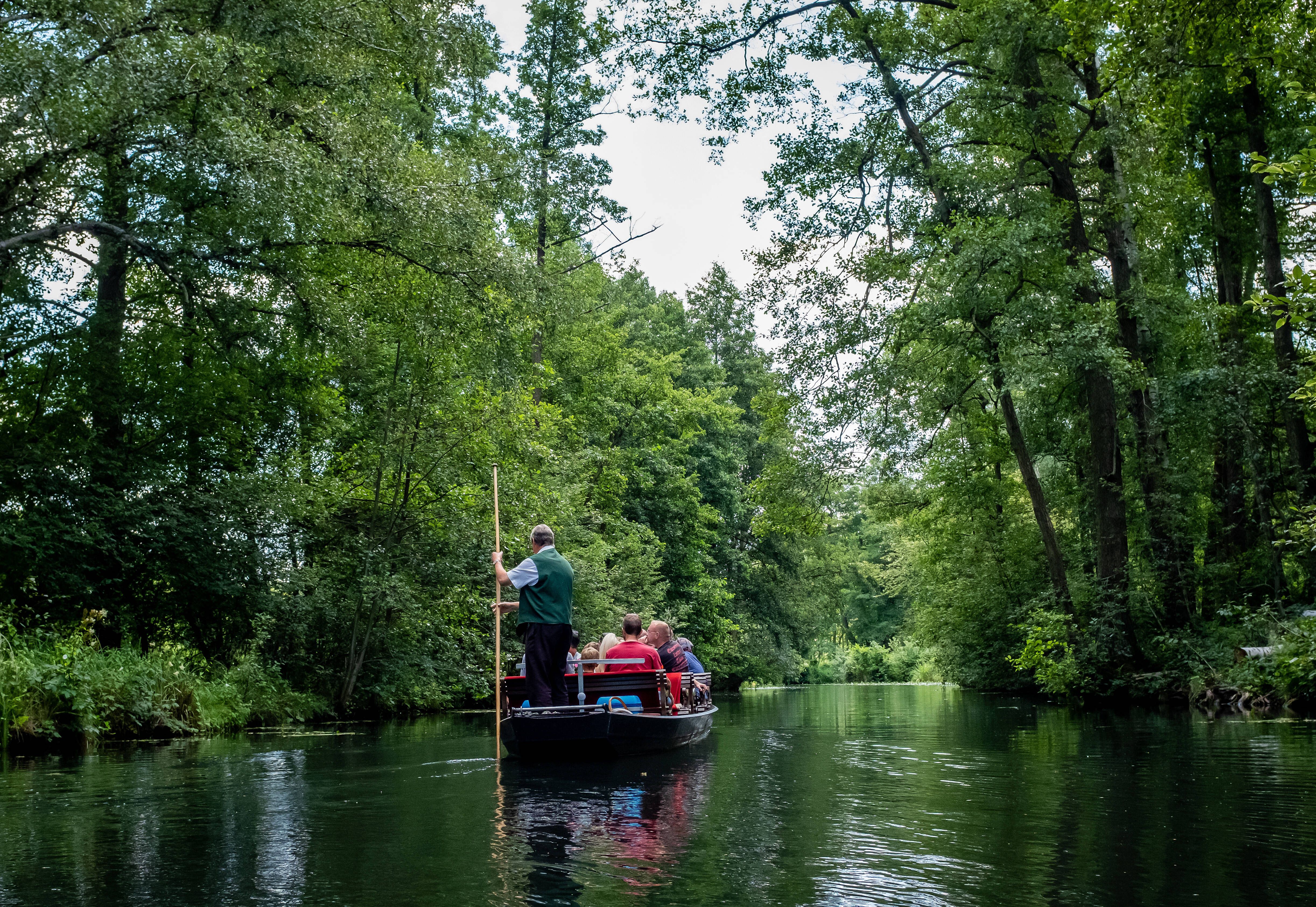 Image - AfD-Land Brandenburg: Spreewald und Co. bald ohne Touristen?