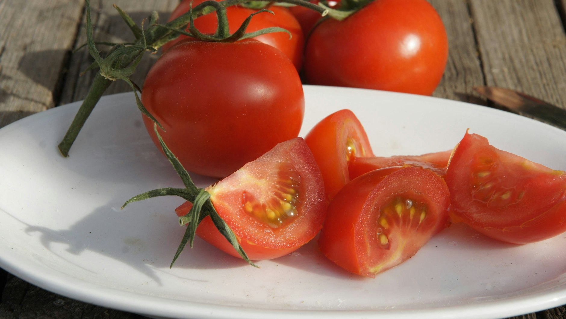 Um solche leckeren Tomaten im Sommer zu ernten, müssen die Pflanzen jetzt vorgezogen werden.