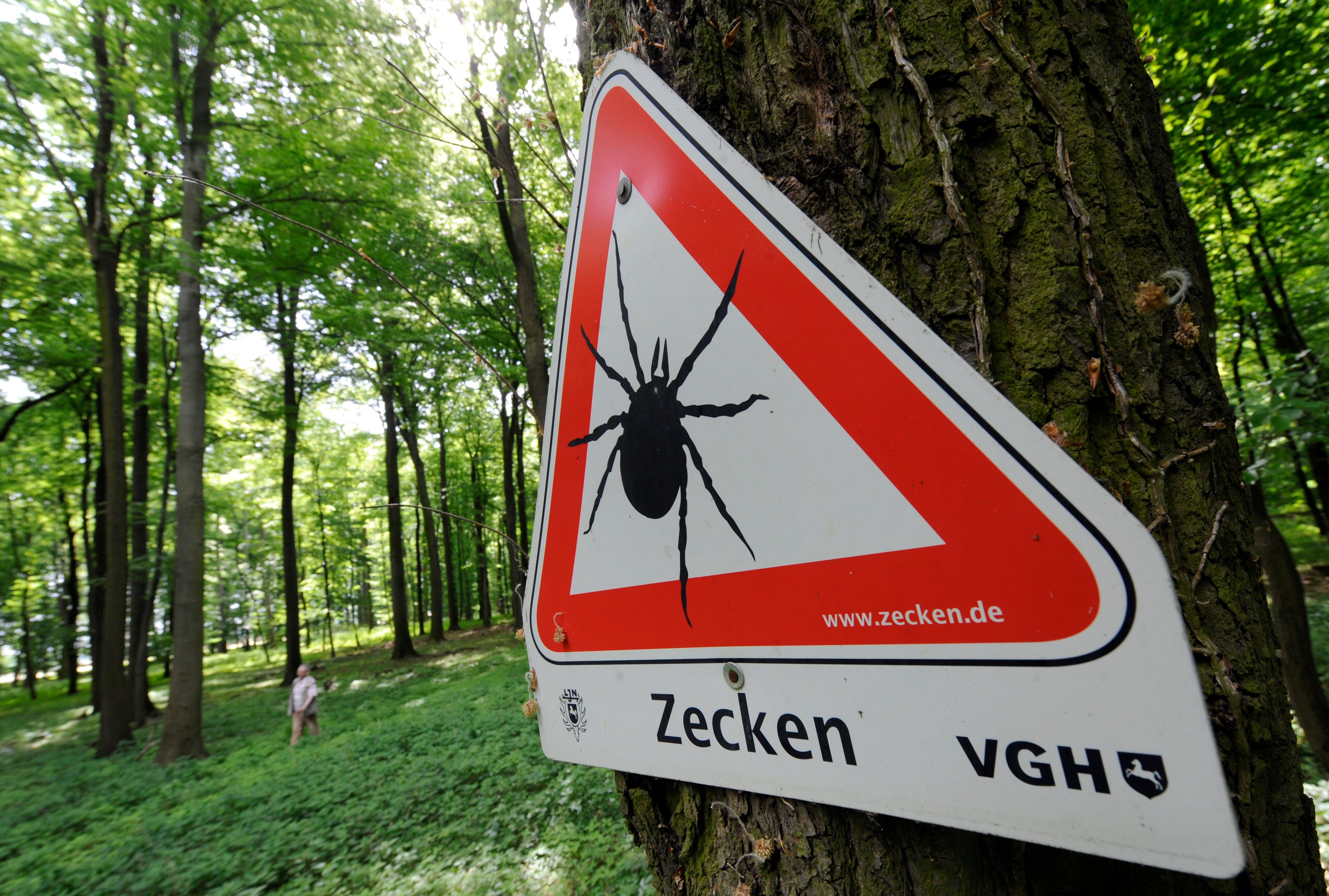 Image - Frühlingswetter macht Zecken mobil – erste Borreliose-Fälle gemeldet