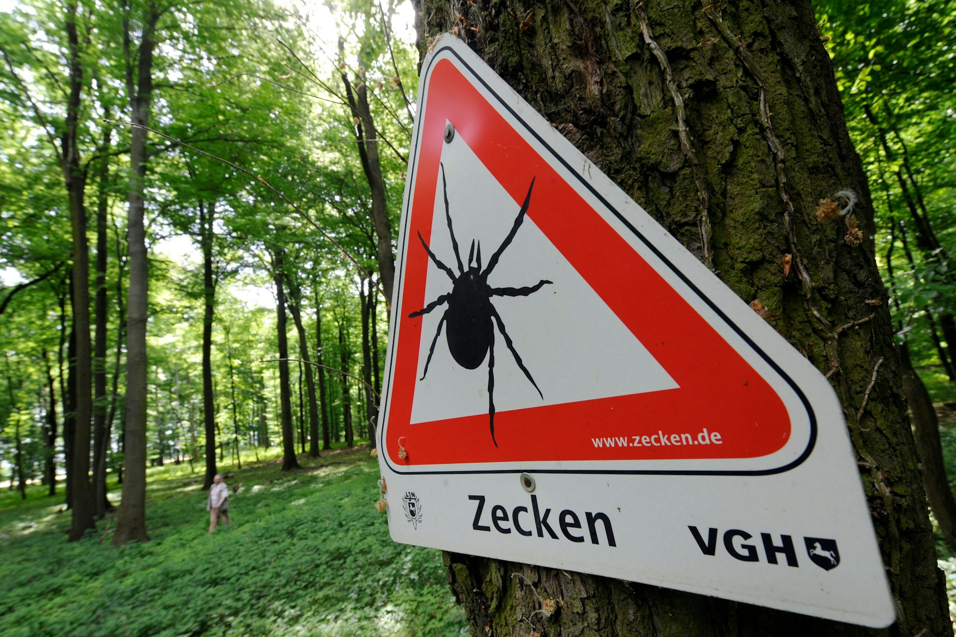 Vor Zecken wird mit einem Schild in einem Waldgebiet gewarnt.