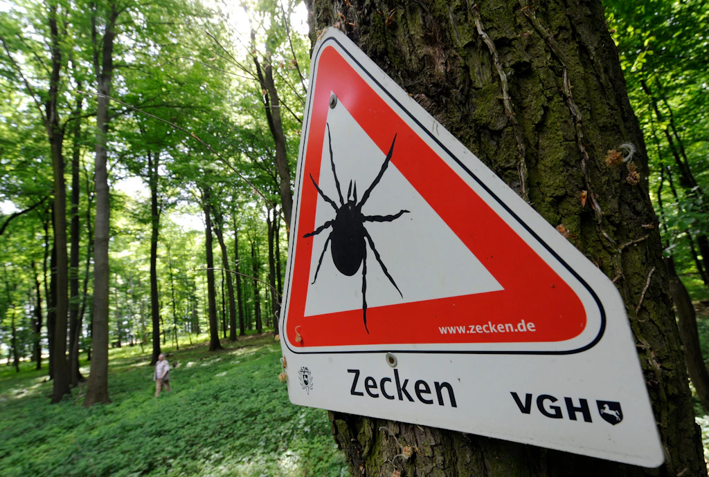 Frühlingswetter macht Zecken mobil – erste Borreliose-Fälle gemeldet