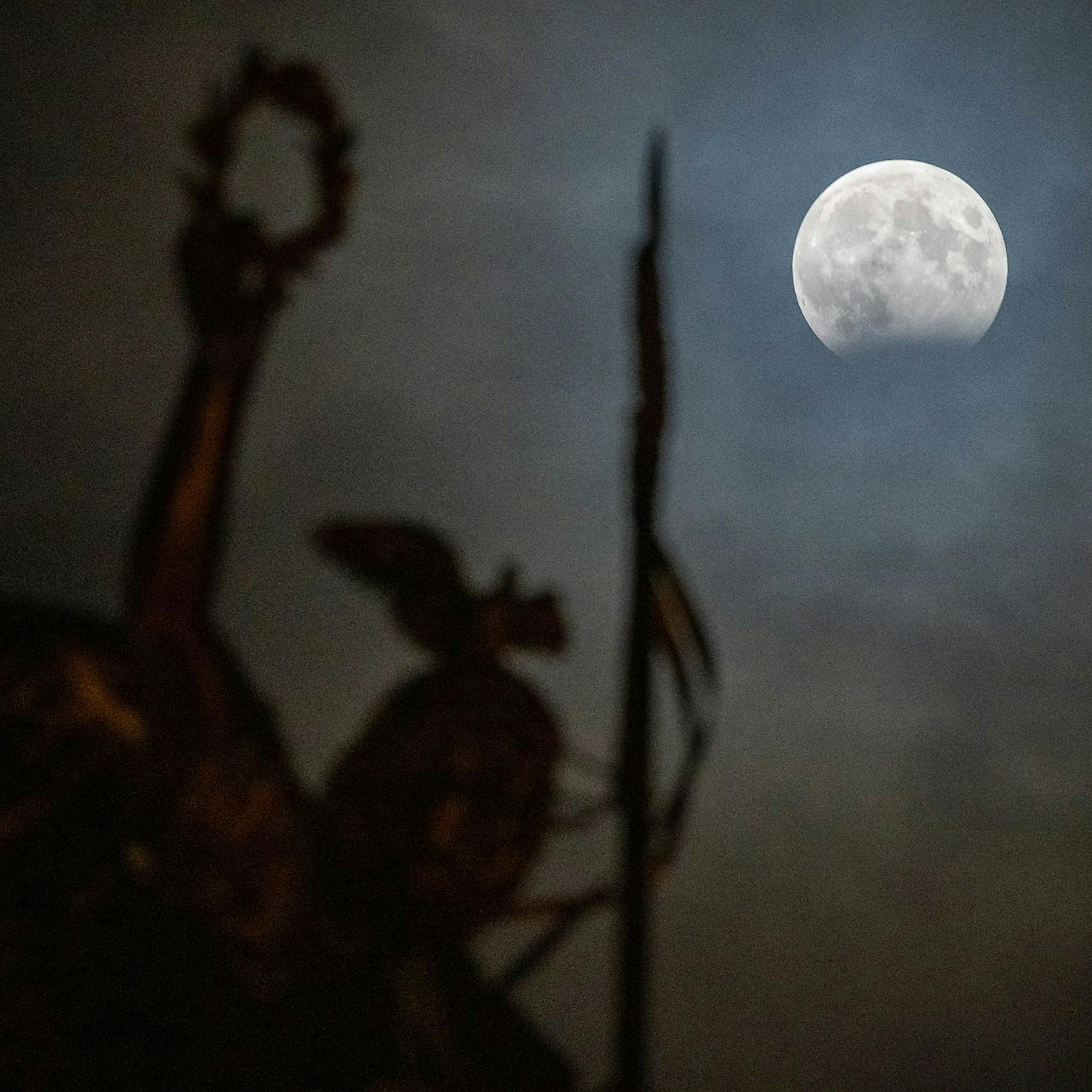 Weltraumforschung: Mond könnte überraschend große Wasservorkommen haben