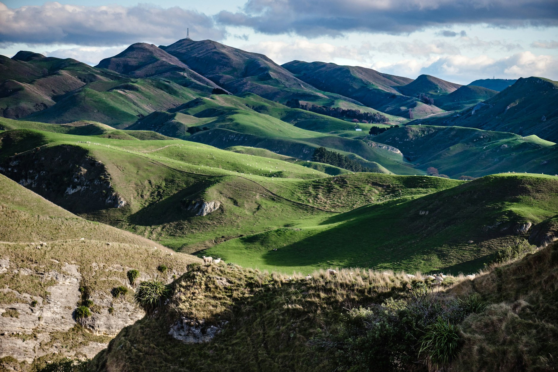 Landschaft in Neuseeland: Das Land gehört zu den wenigen, die im Jahr 2024 die WHO-Standards für Luftverschmutzung mit PM2.5-Partikeln erfüllten.