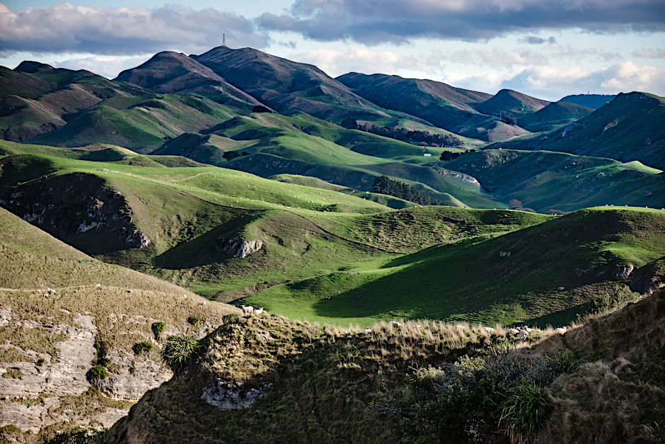 Landschaft in Neuseeland: Das Land gehört zu den wenigen, die im Jahr 2024 die WHO-Standards für Luftverschmutzung mit PM2.5-Partikeln erfüllten.