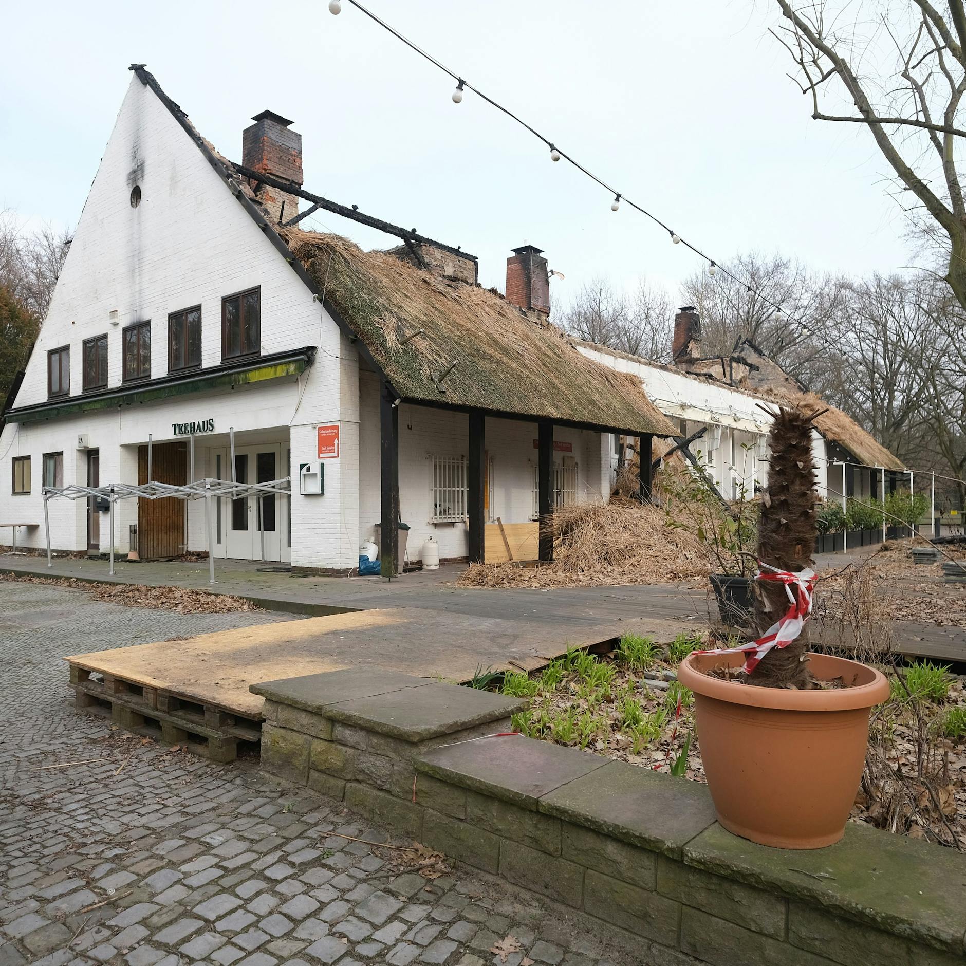 Image - Nach Brand: Zukunft des Teehauses im Englischen Garten ungewiss