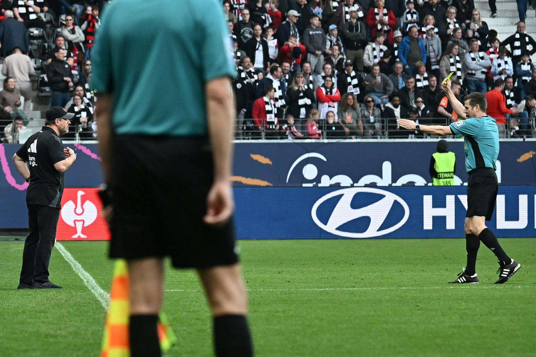 Union-Trainer Steffen Baumgart (53) sah wegen Meckerns in Frankfurt die vierte Gelbe Karte und ist nun gegen den FC Bayern gesperrt.
