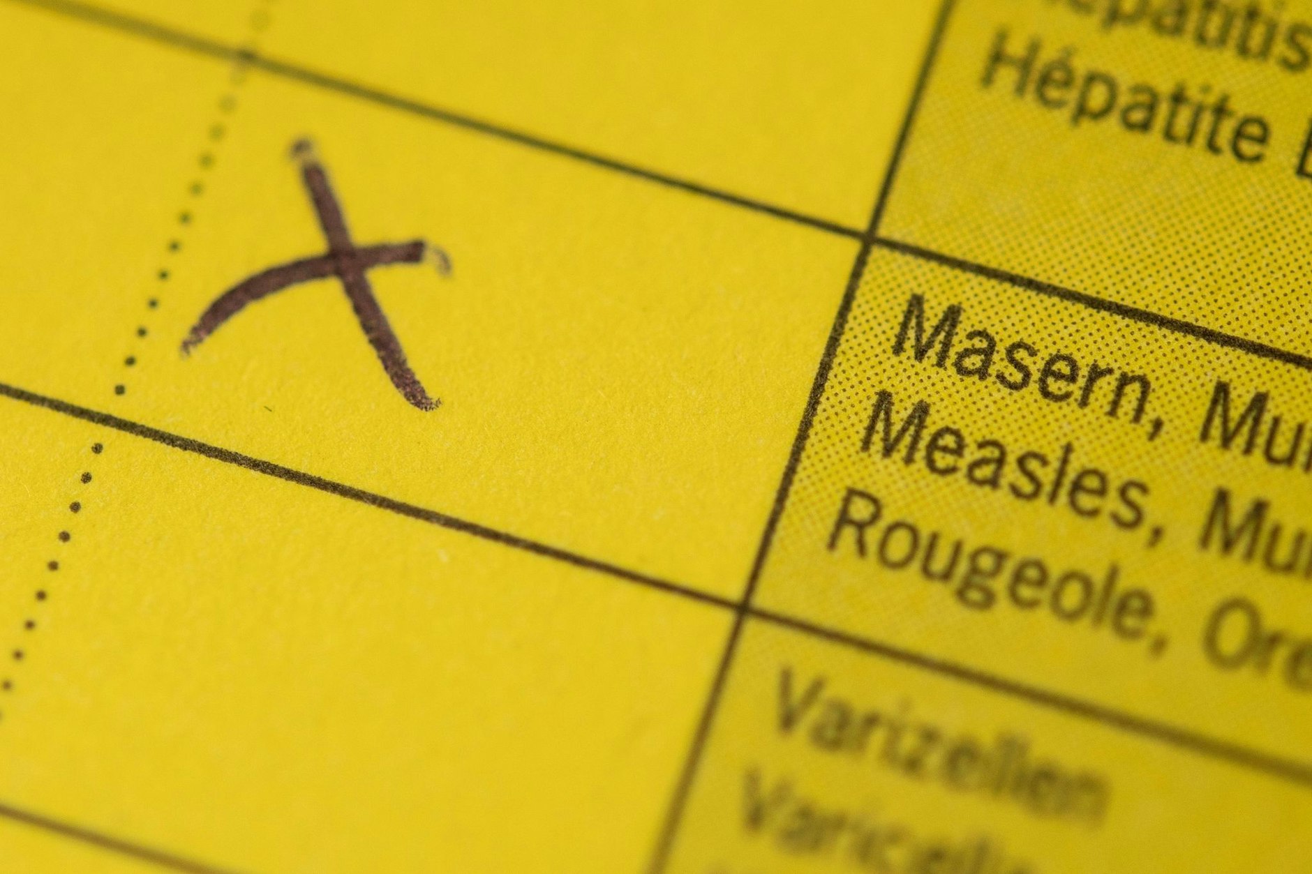 Impfausweis mit bescheinigtem Masernschutz.