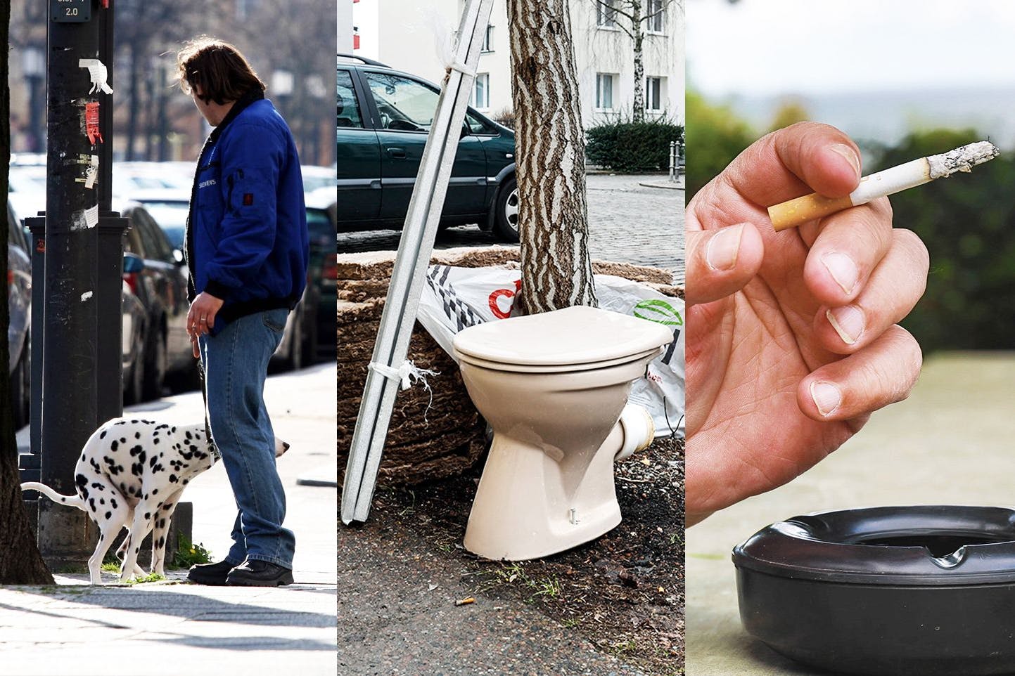 Hundekacke liegen lassen, Sperrmüll illegal entsorgen und Kippen wegwerfen: All das soll in Berlin in ZUkunft wesentlich mehr kosten, denn die Bußgelder werden angehoben.