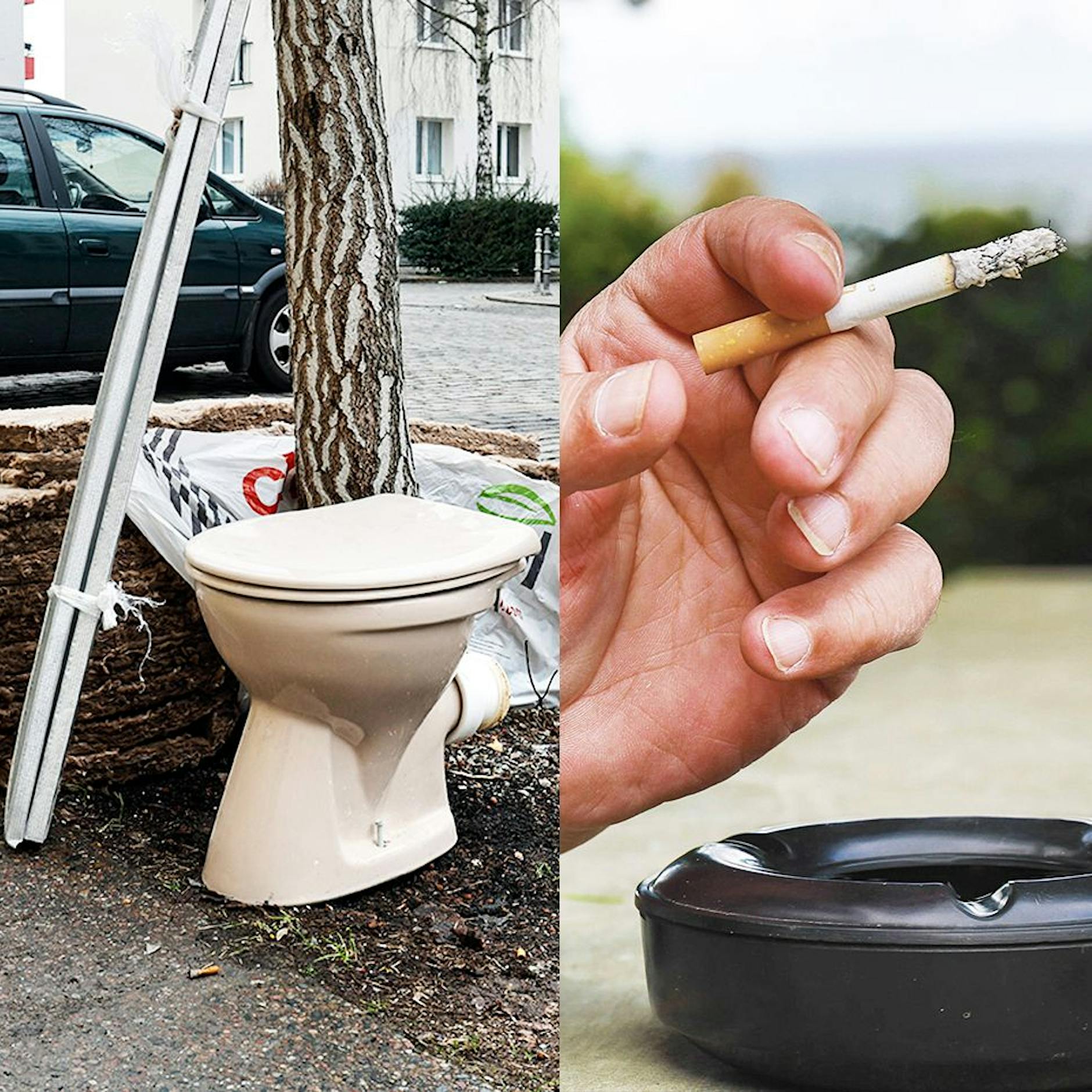 Müll in Berlin: Krasse Bußgelder! So teuer werden Hundekacke und Kippen