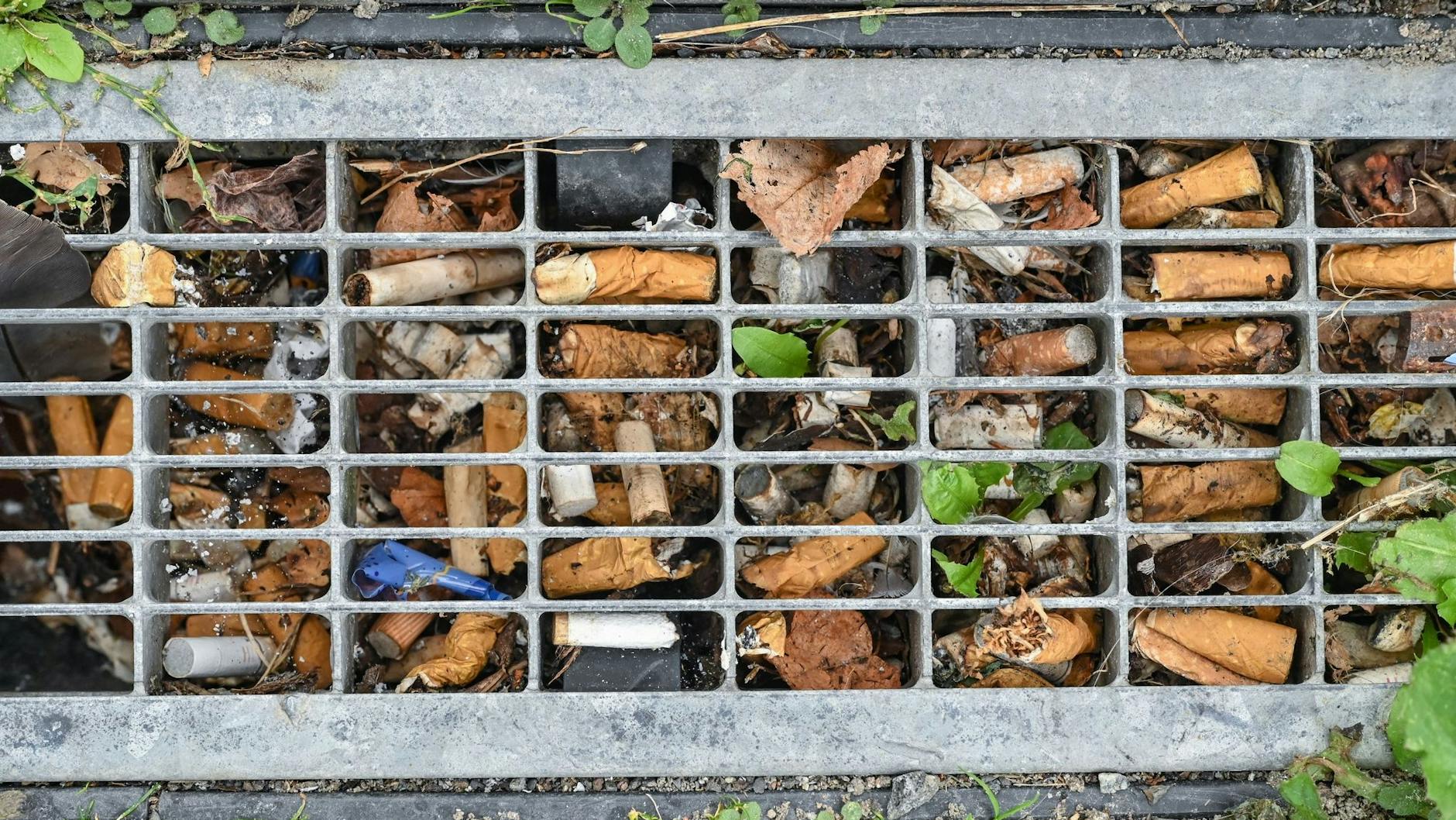 Zigarettenkippen sind ein echtes Ärgernis - und sie finden sich auch in Berlin überall.