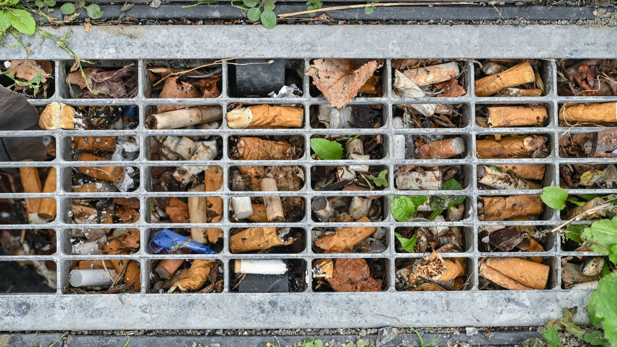 Zigarettenkippen sind ein echtes Ärgernis - und sie finden sich auch in Berlin überall.