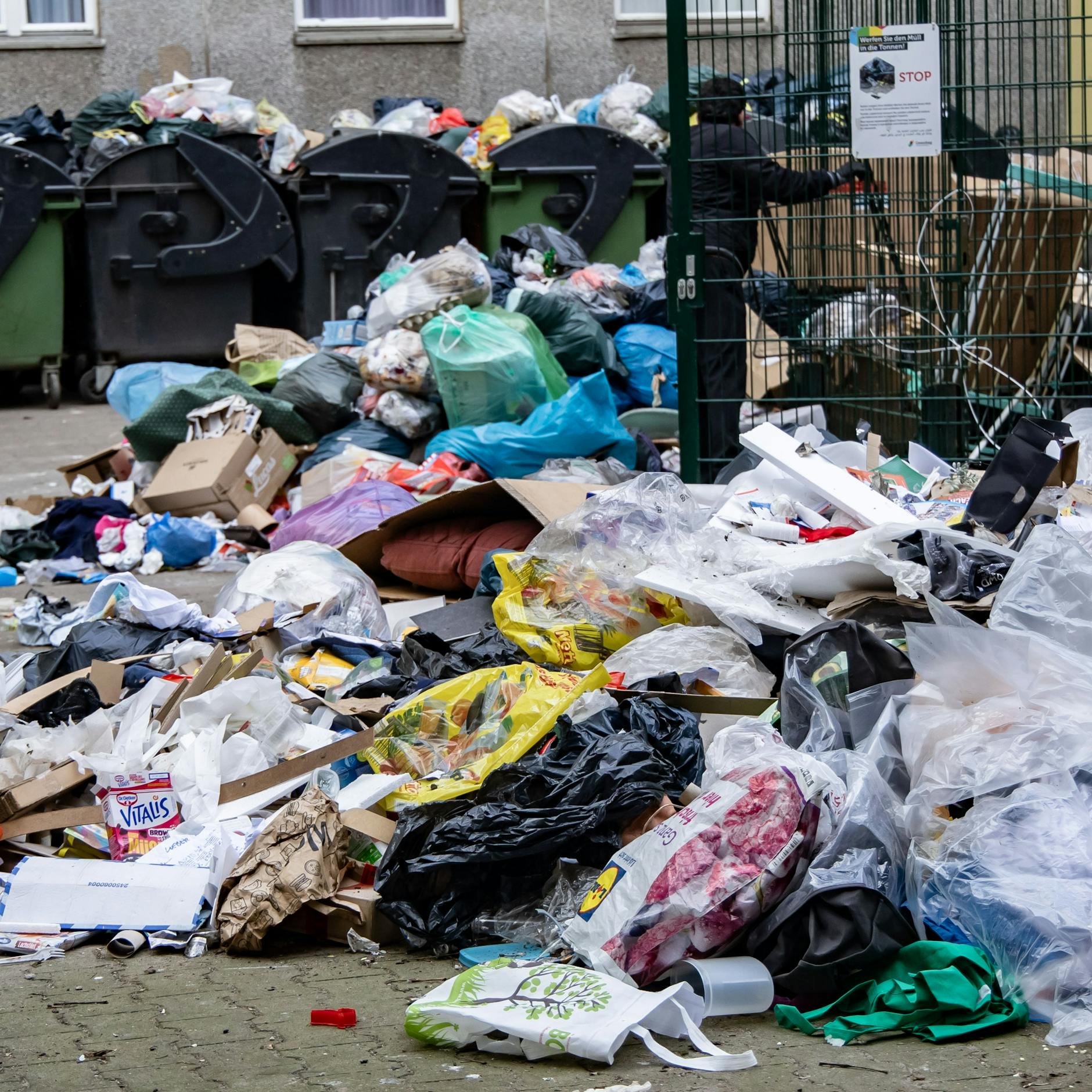 Image - Mitten im Wohngebiet: Hier liegt der krasseste Müllberg Berlins