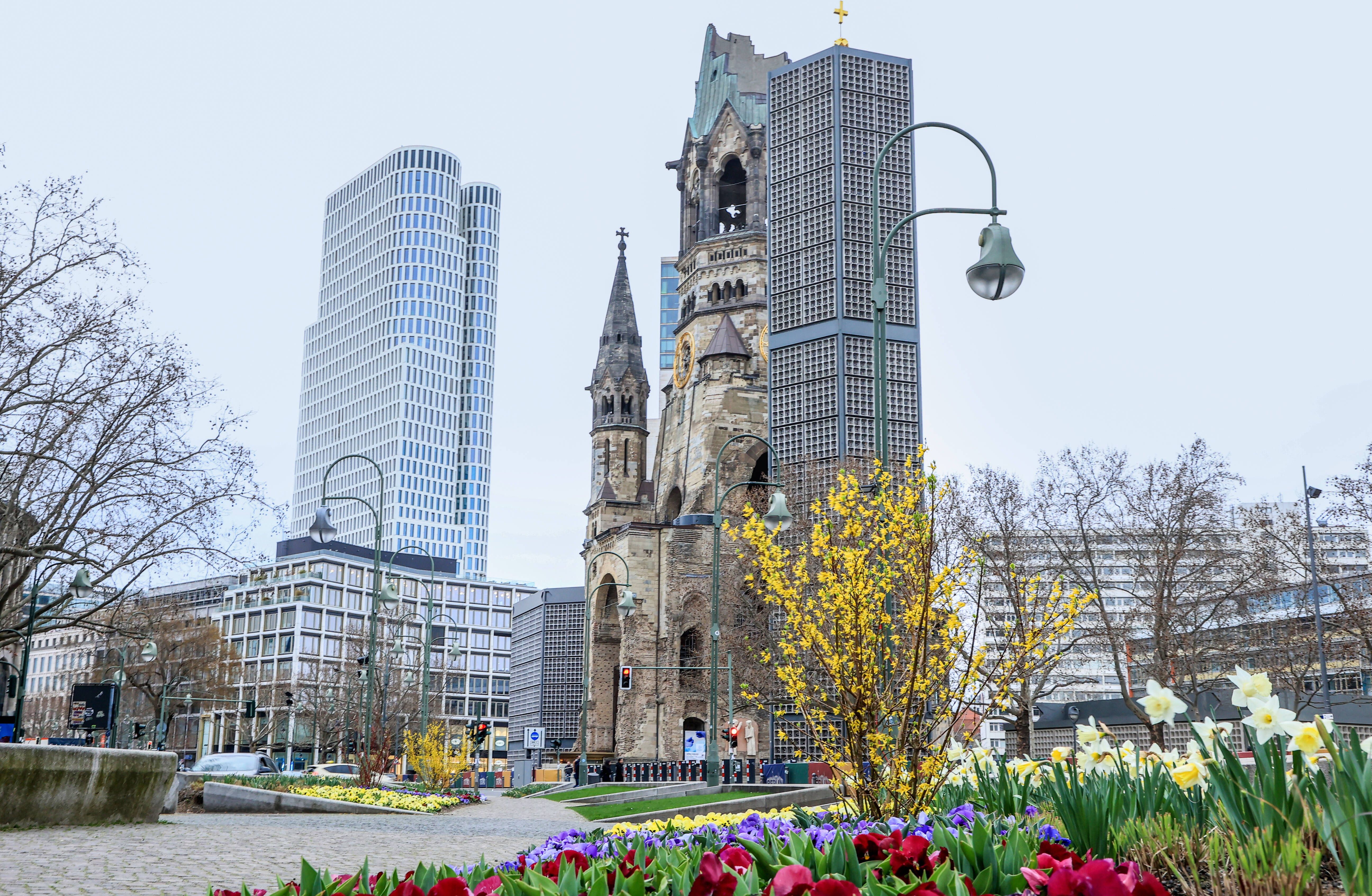 Image - Am Samstag gibt’s Tulpen für alle am Berliner Breitscheidplatz