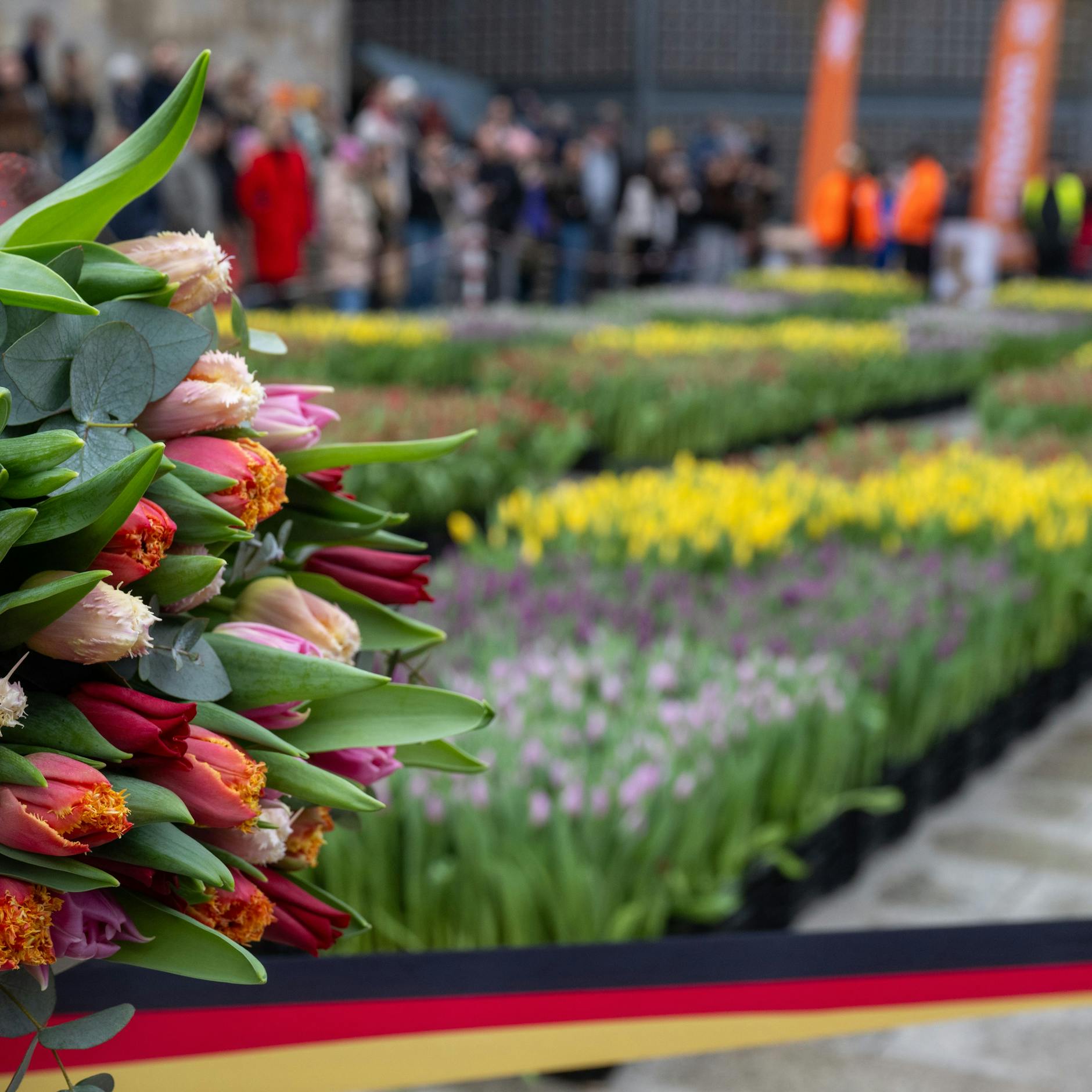 Image - Tulip Day in Berlin: Kostenlose Tulpen am Breitscheidplatz am Samstag