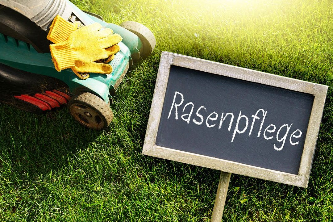 Was muss man im März bei der Rasenpflege beachten? Wir haben drei gute Tricks für Sie, damit es mit dem saftigen, grünen Rasen klappt!