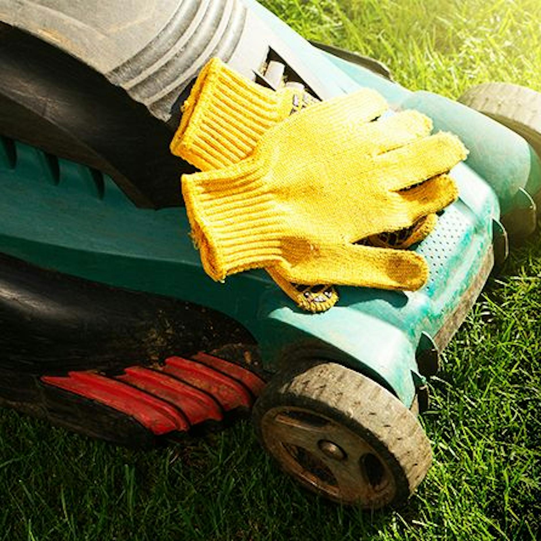 Drei Tricks für die Rasenpflege im März: DAS ist jetzt wichtig!