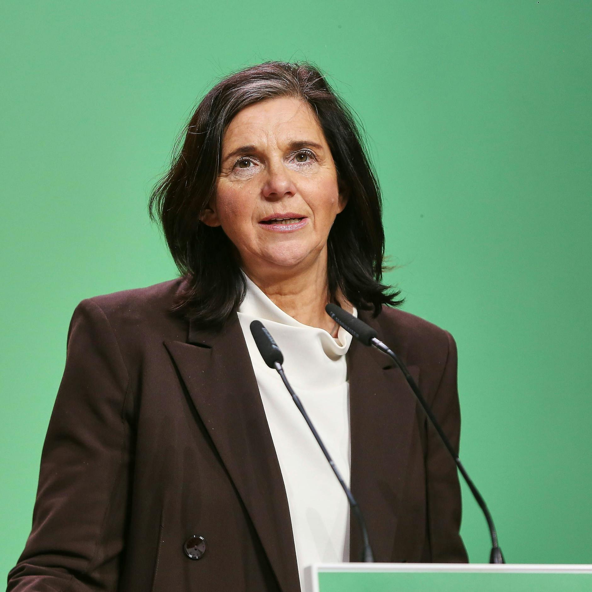 Image - Machtkampf bei den Grünen um Bundestags-Vizepräsident: Göring-Eckardt gegen Nouripour