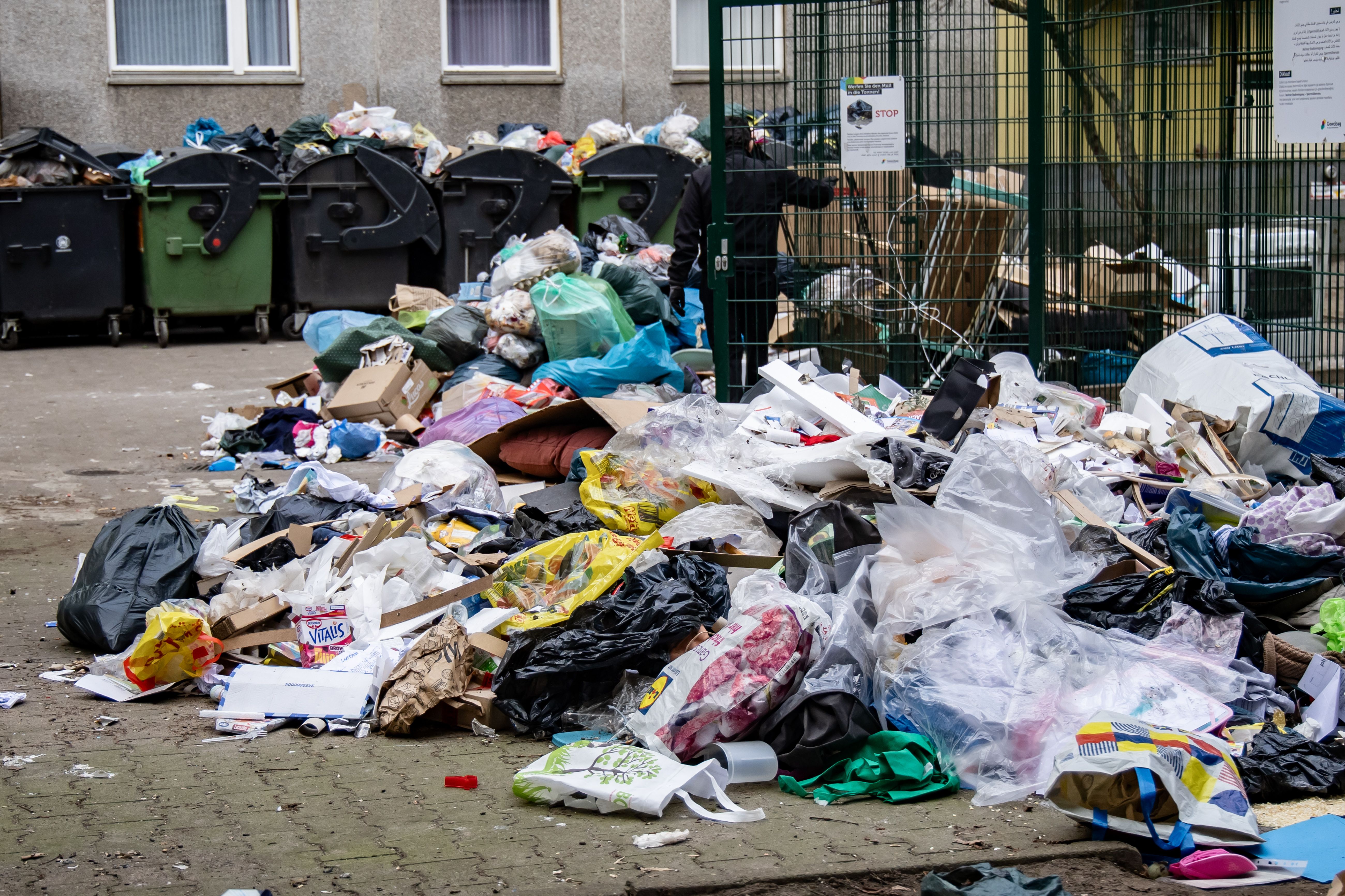 Image - Im Angesicht des Mülls: Warum mich der BSR-Streik an unserem Verstand zweifeln lässt – ein Kommentar