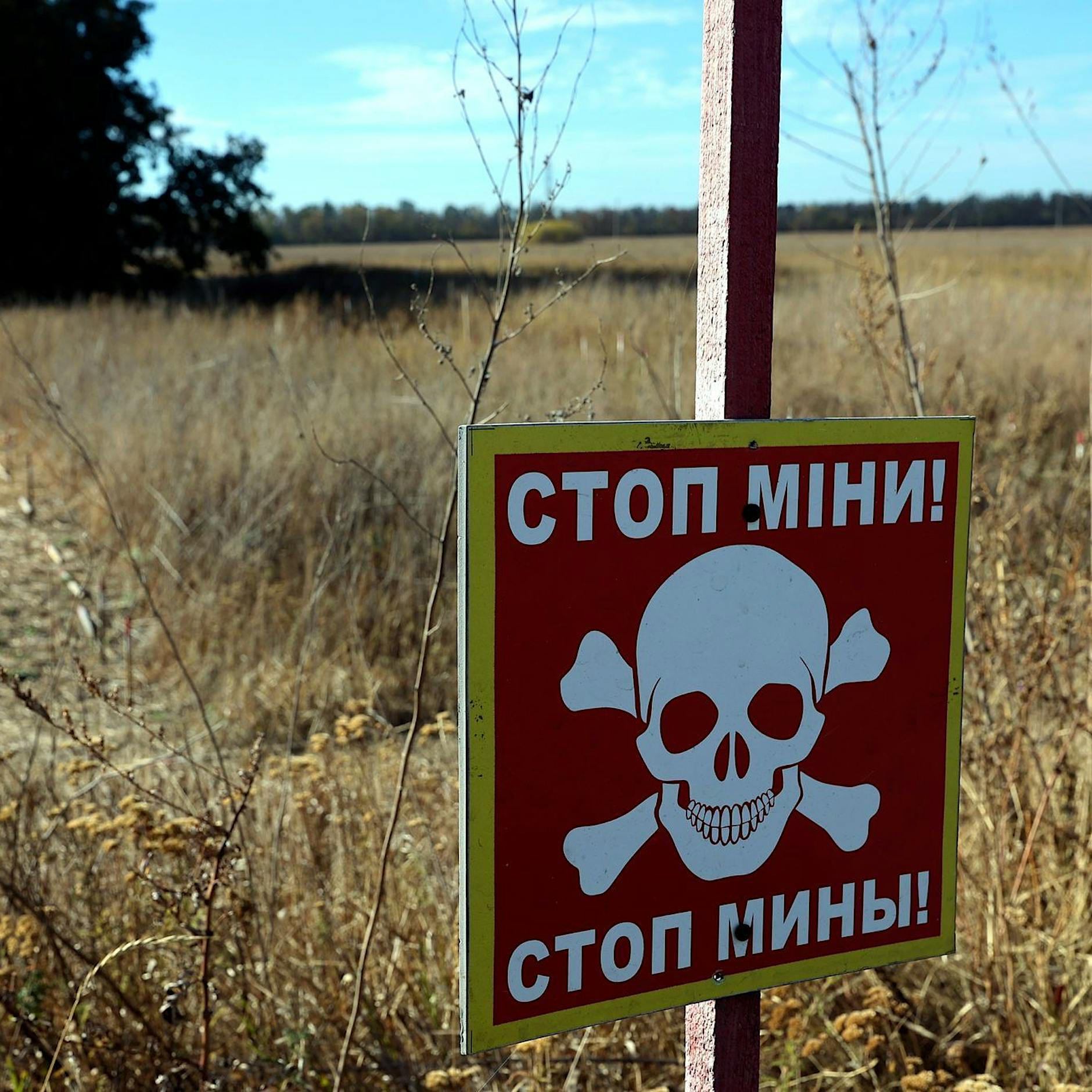 Polen und baltische Länder wollen aus Konvention gegen Antipersonenminen austreten